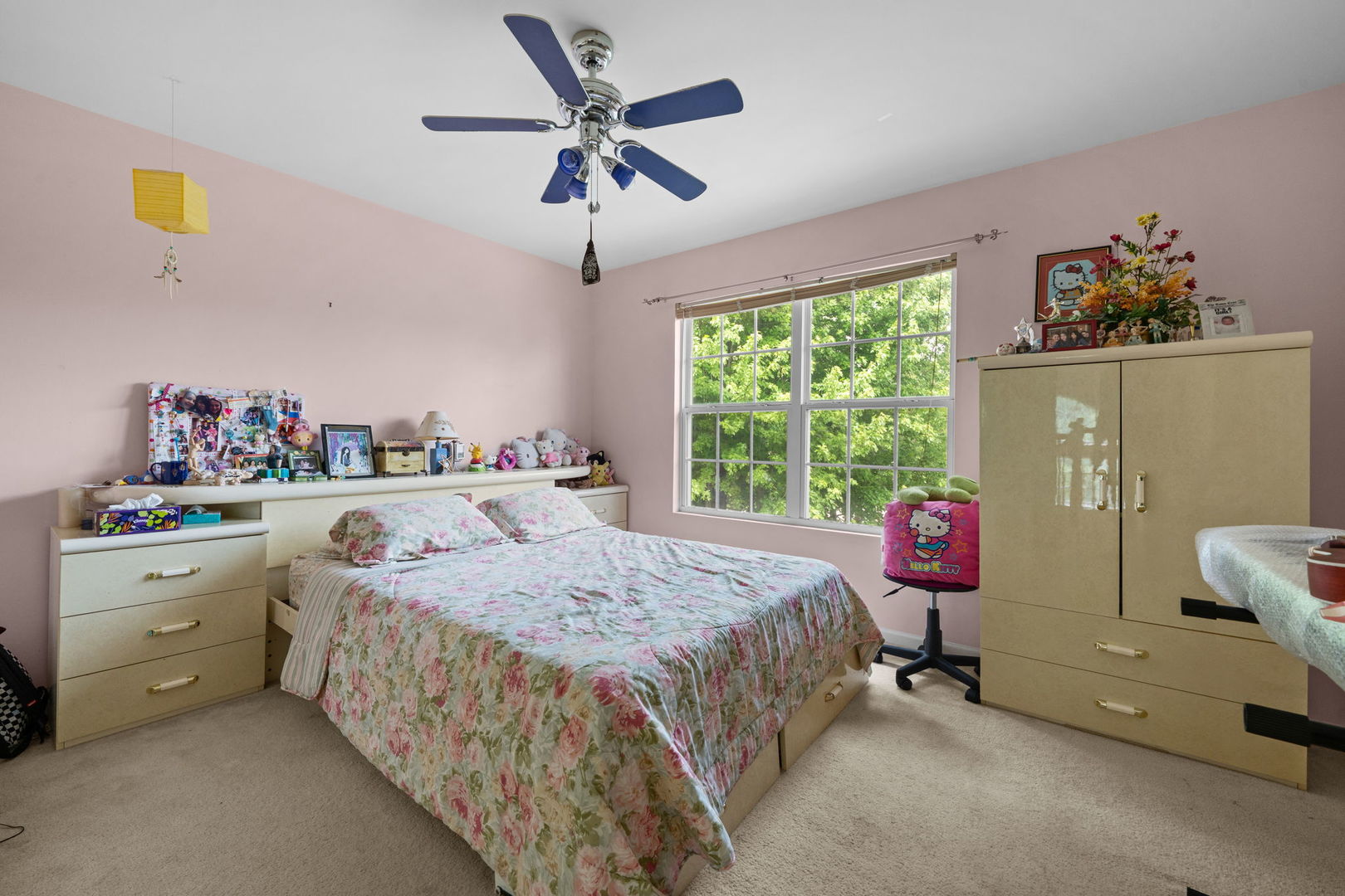 529 Nunda Trail, Crystal Lake, IL 60012