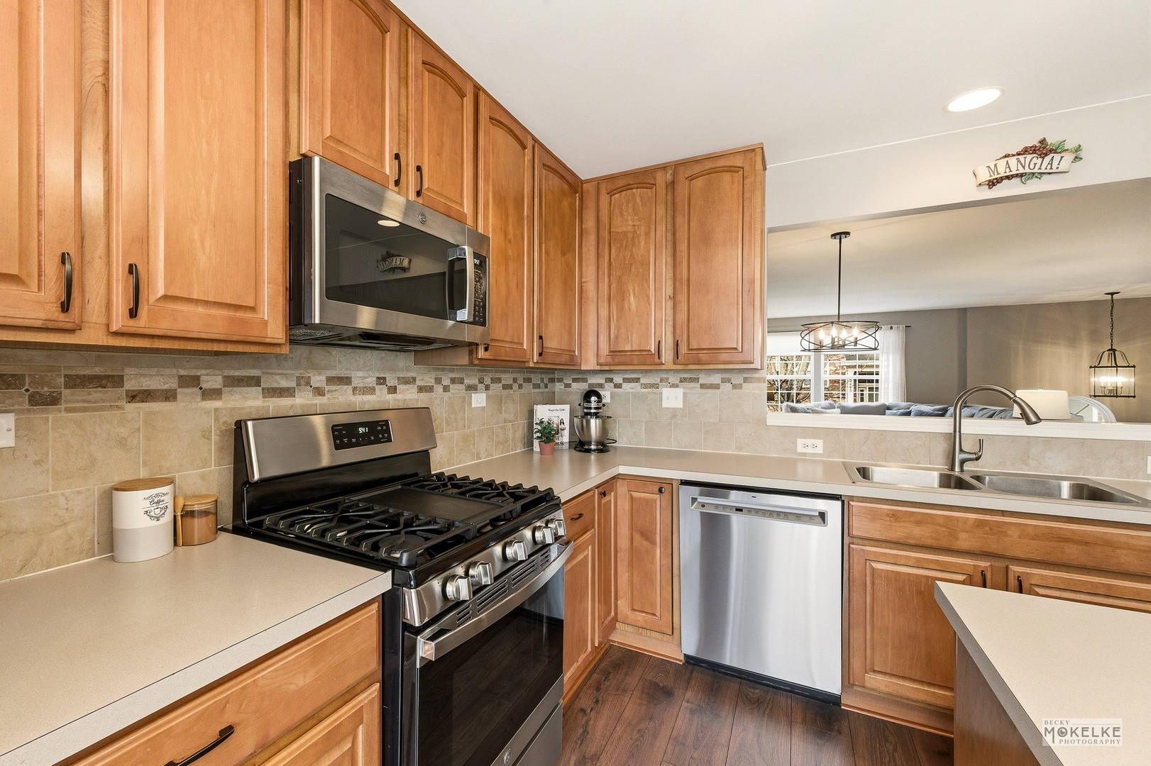 2419 Emily Lane, Elgin, IL 60124