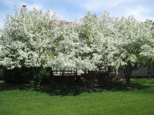 Bloomingdale, IL 60108