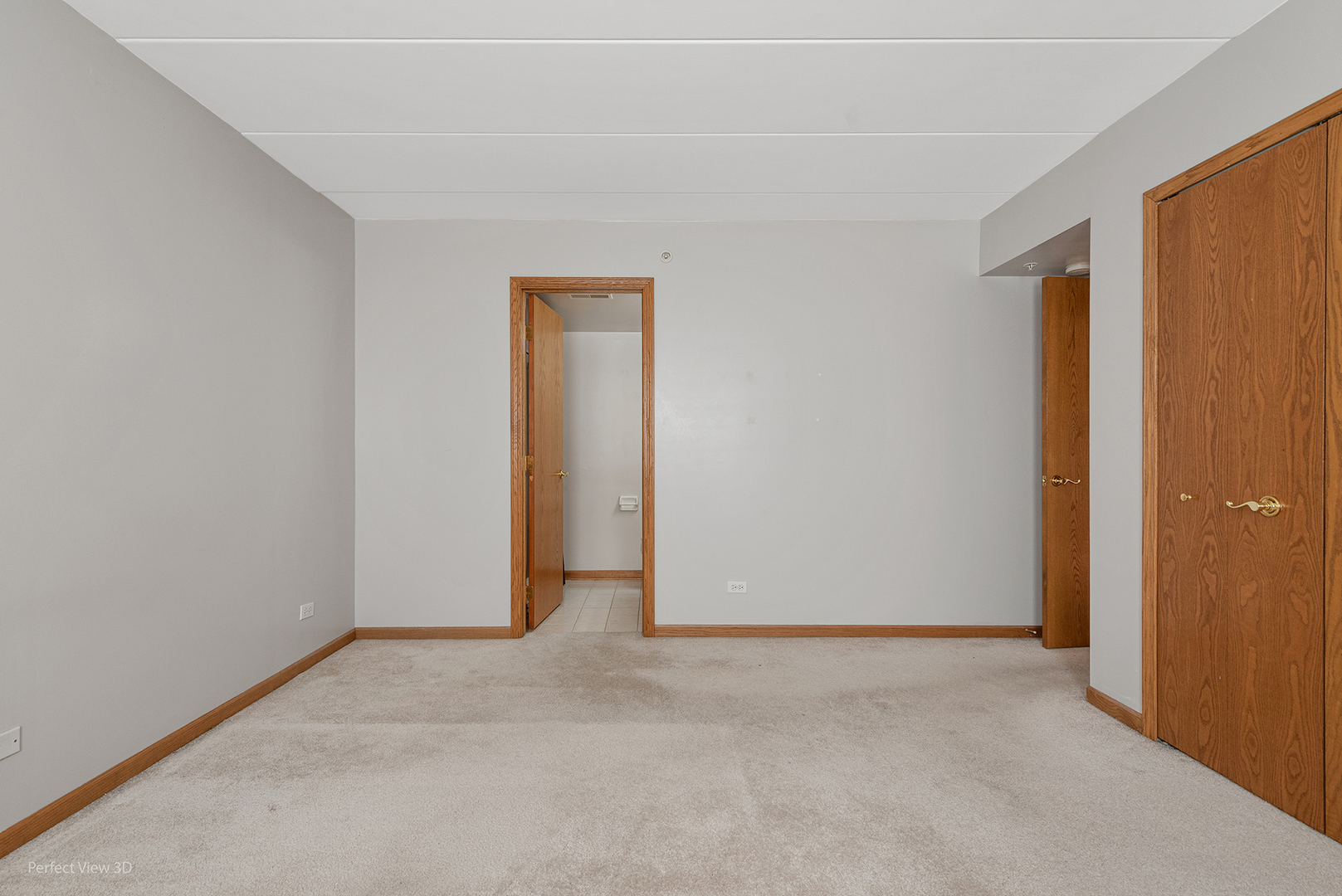 12799 Saint Andrews Court #3-202, Lemont, IL 60439