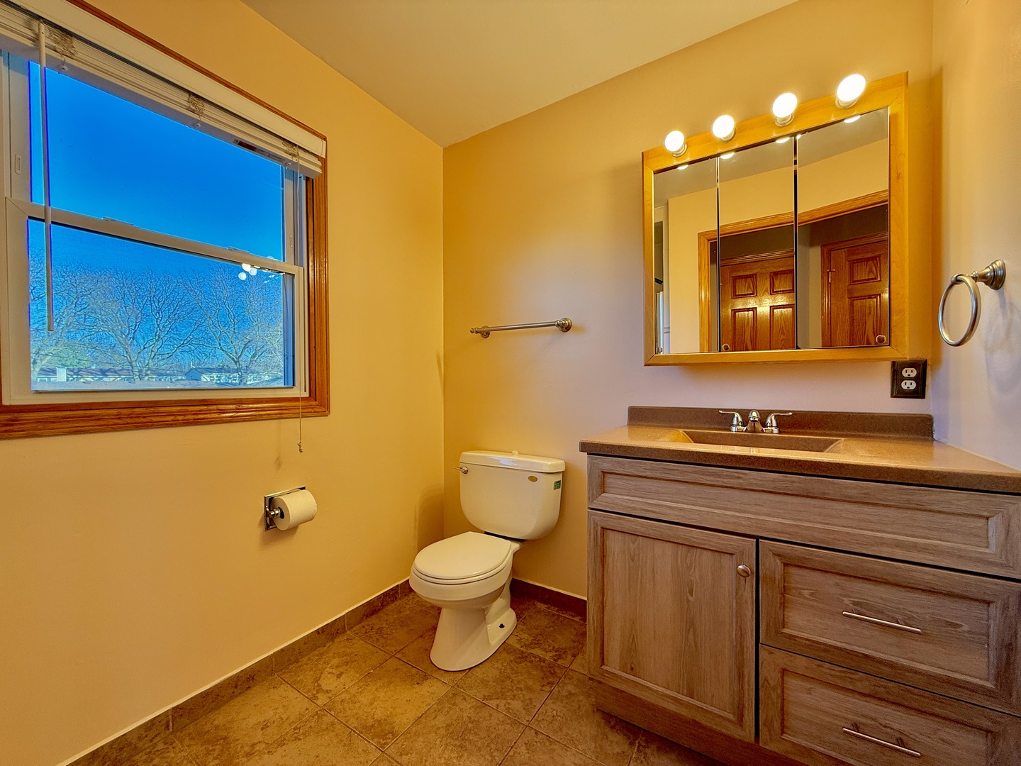 1403 S Birch Drive, Mount Prospect, IL 60056