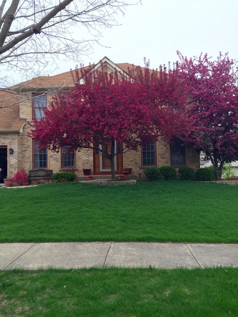 113 Woodlet Lane, Bolingbrook, IL 60490