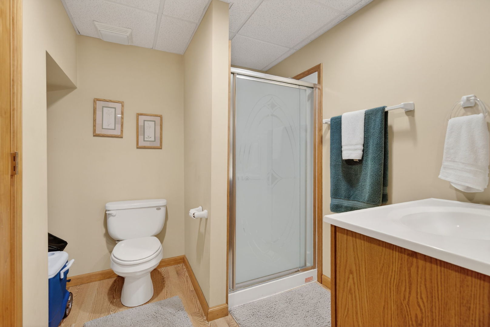 113 Woodlet Lane, Bolingbrook, IL 60490