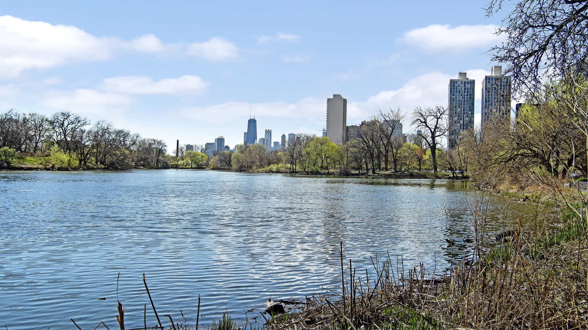 2500 N Lakeview Avenue #3001, Chicago, IL 60614