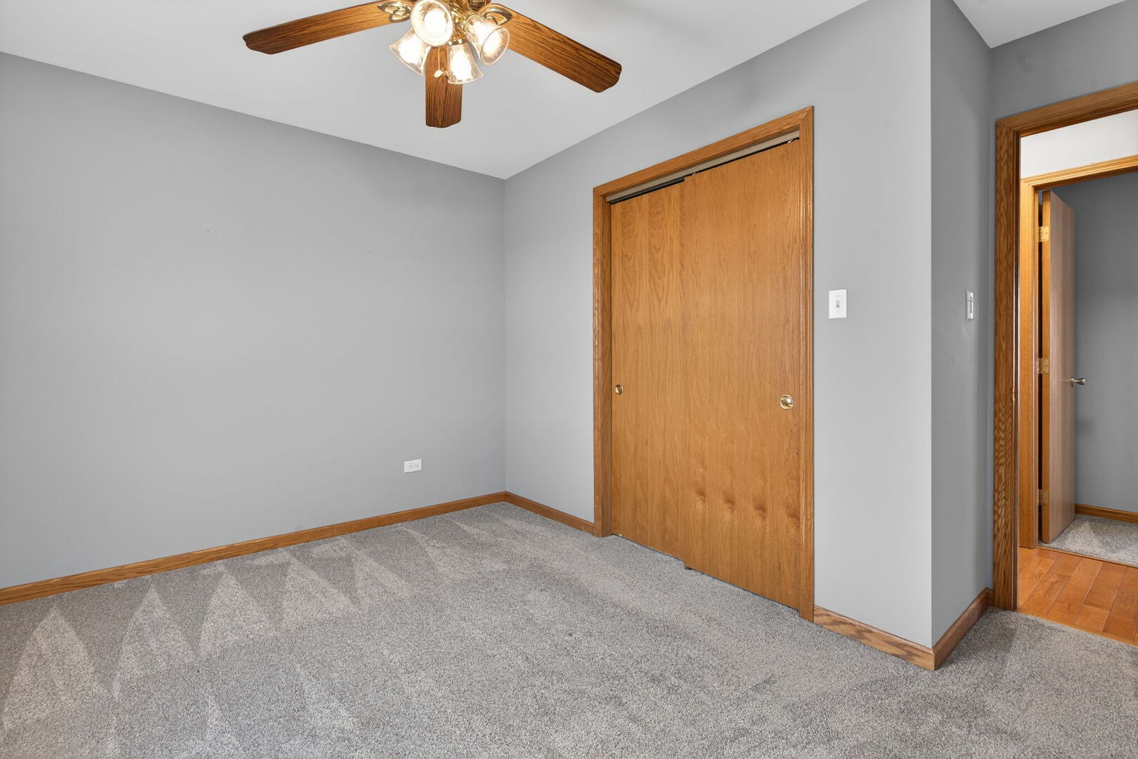 3005 Art Schultz Drive, Plainfield, IL 60586