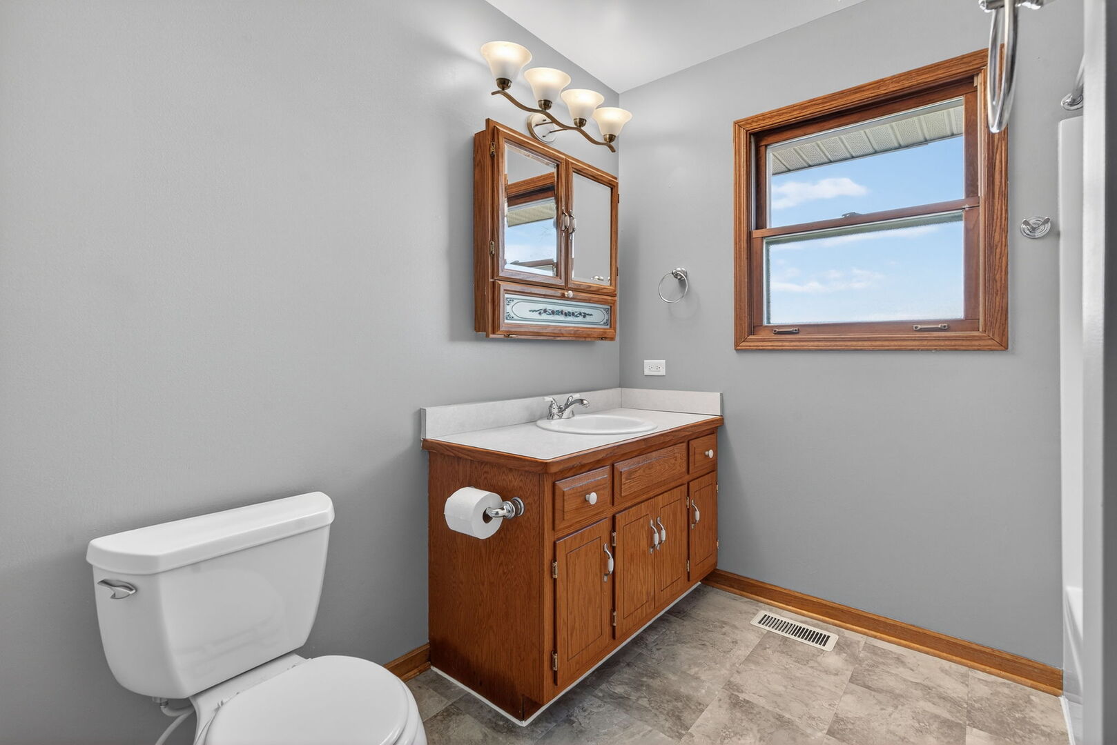 3005 Art Schultz Drive, Plainfield, IL 60586