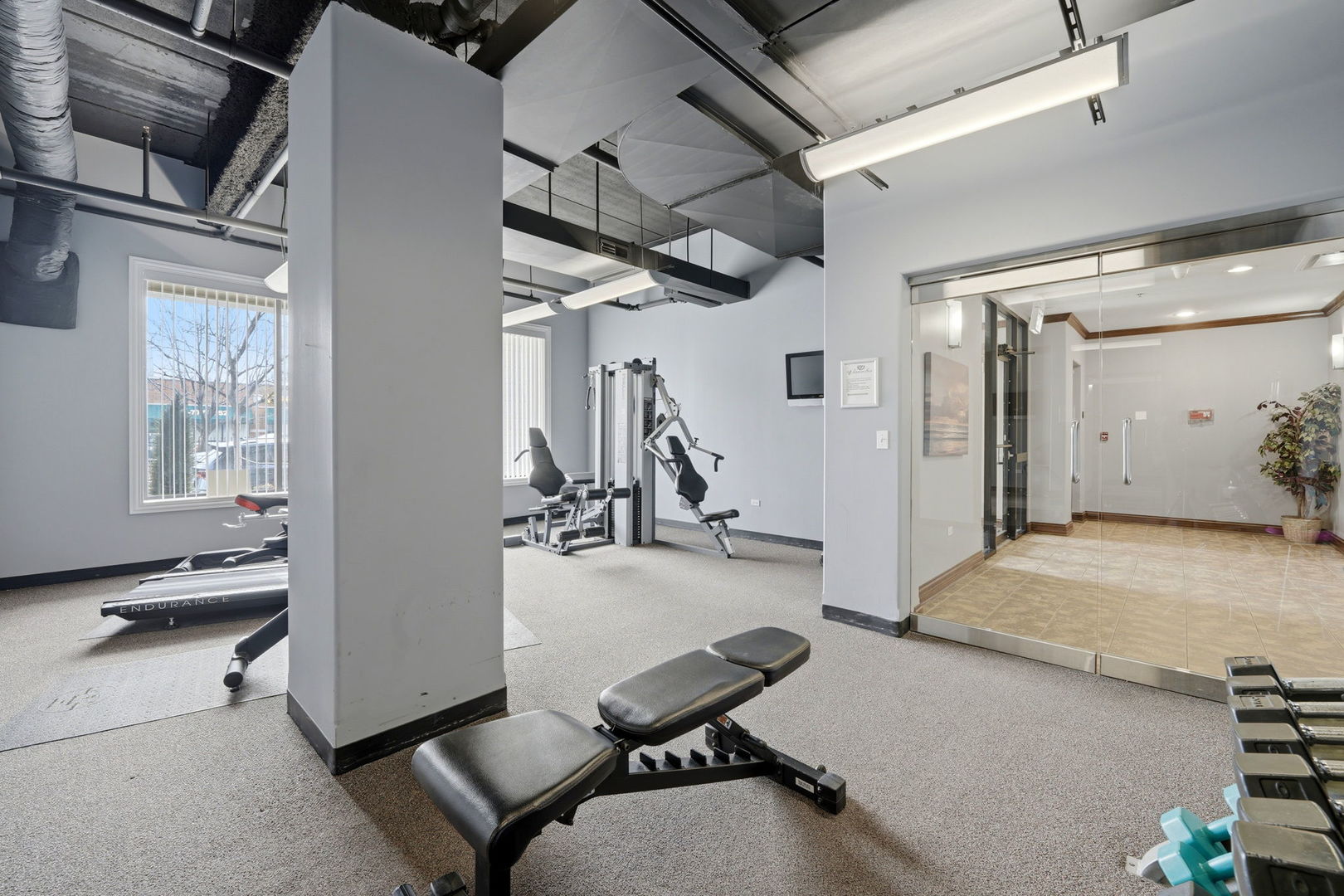 3630 N Harlem Avenue #515, Chicago, IL 60634