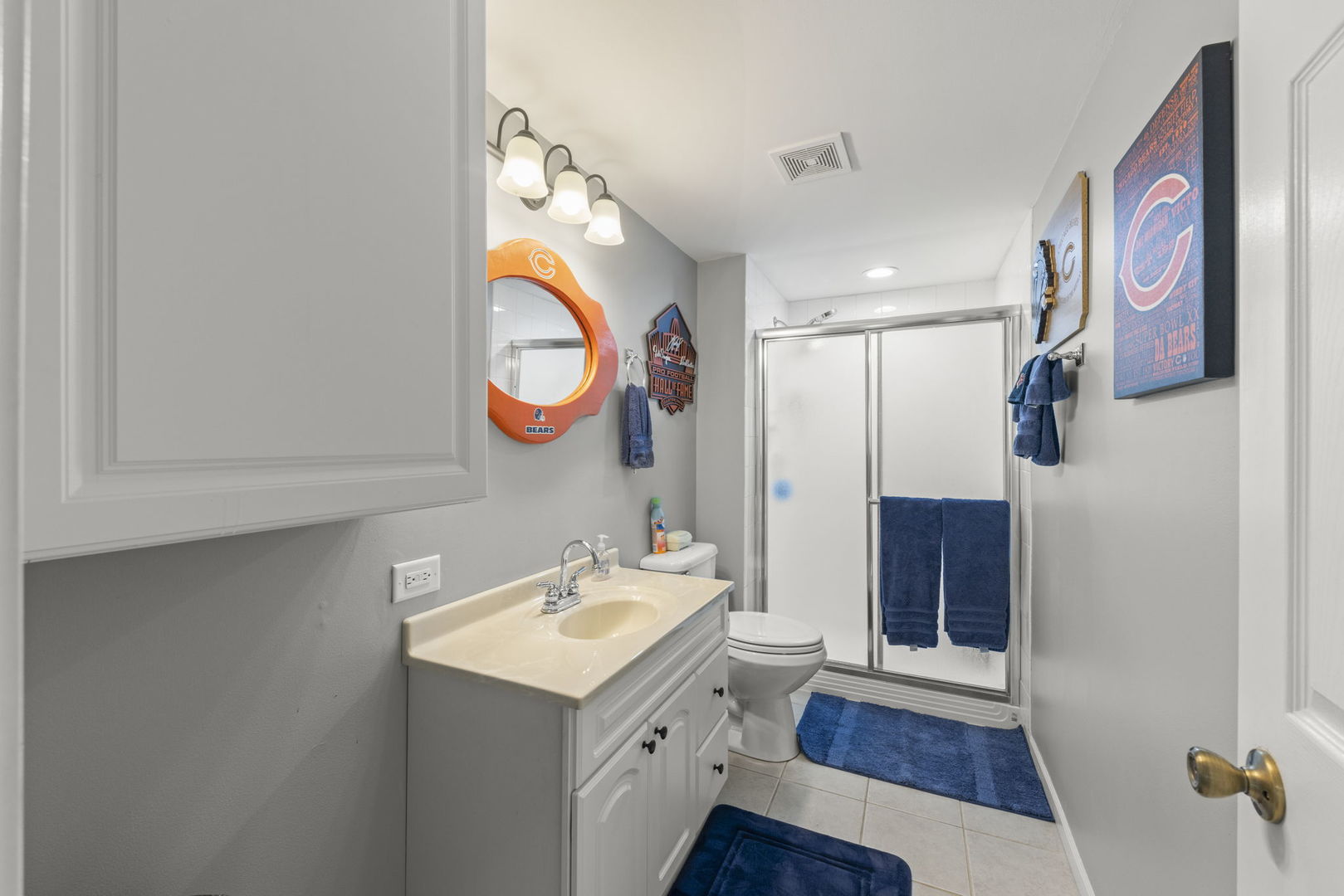 186 River Mist Drive, Oswego, IL 60543