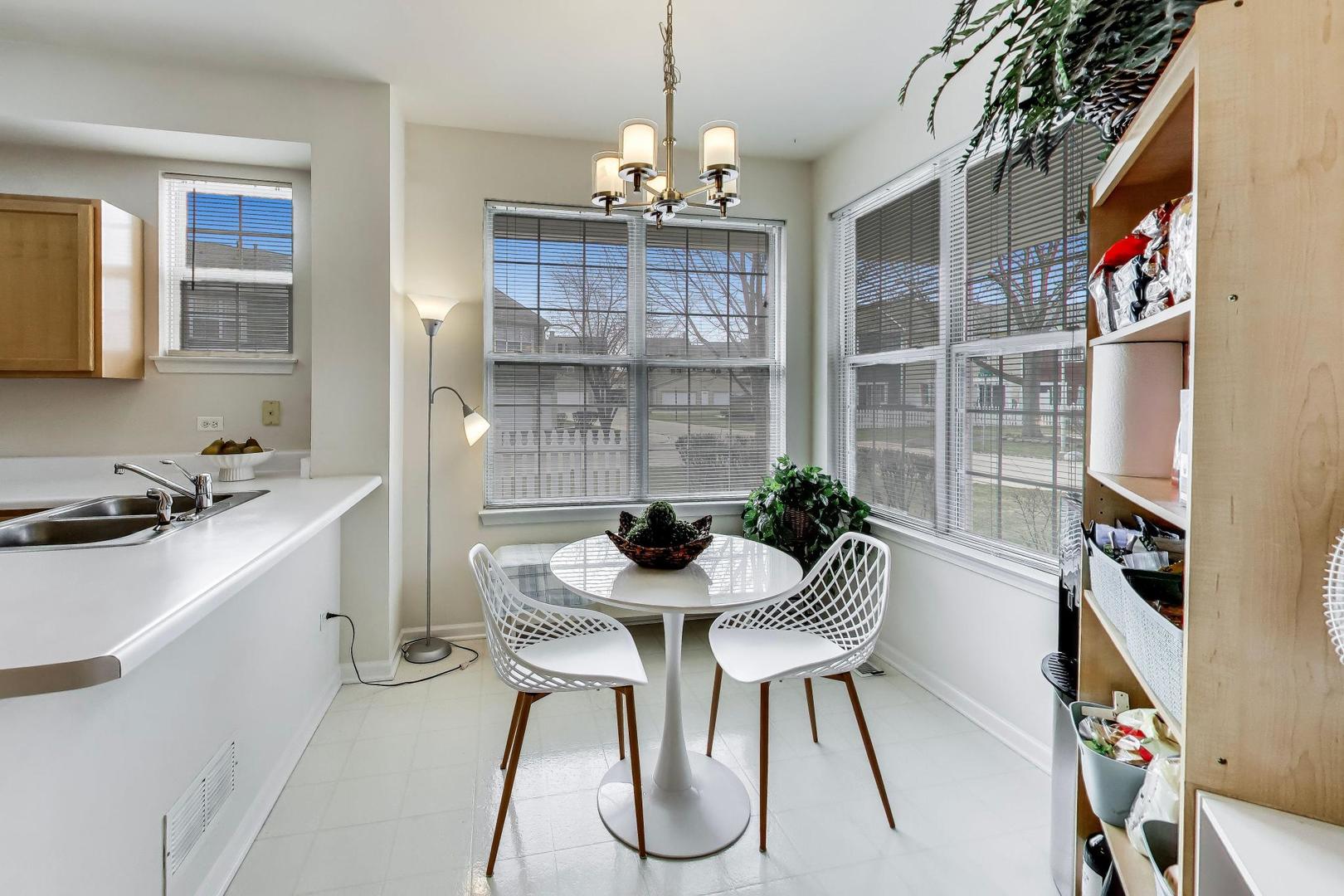 1117 Mckay Circle, Grayslake, IL 60030