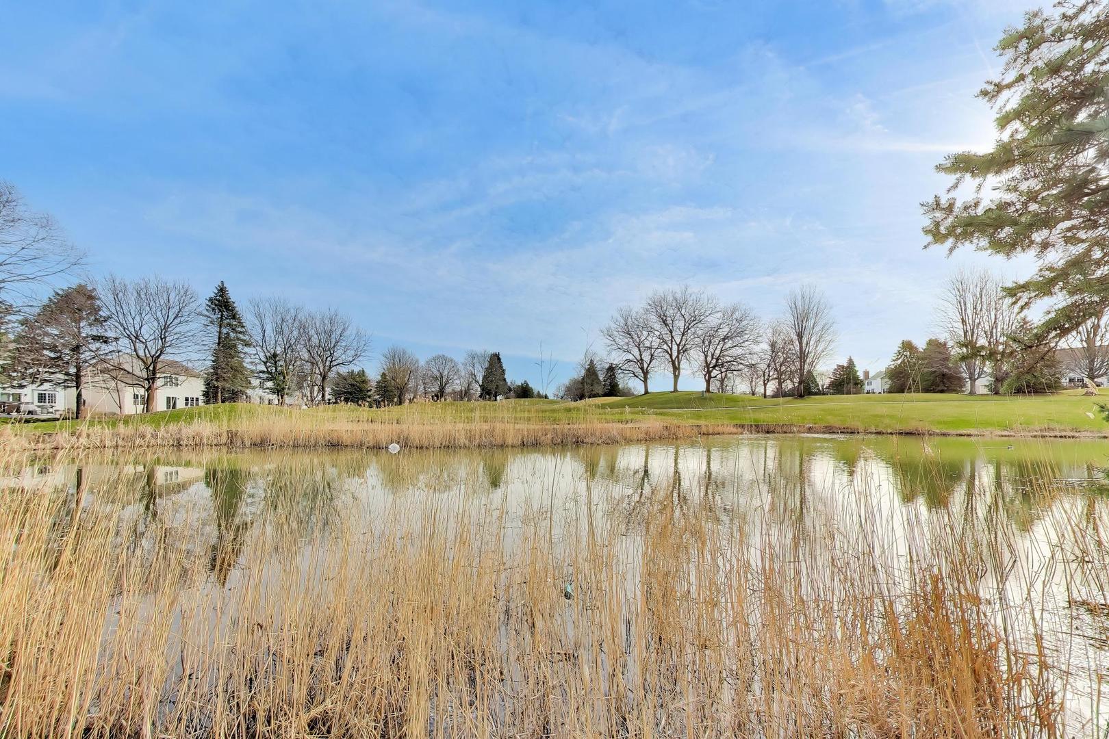 485 Topaz Lane, Bartlett, IL 60103