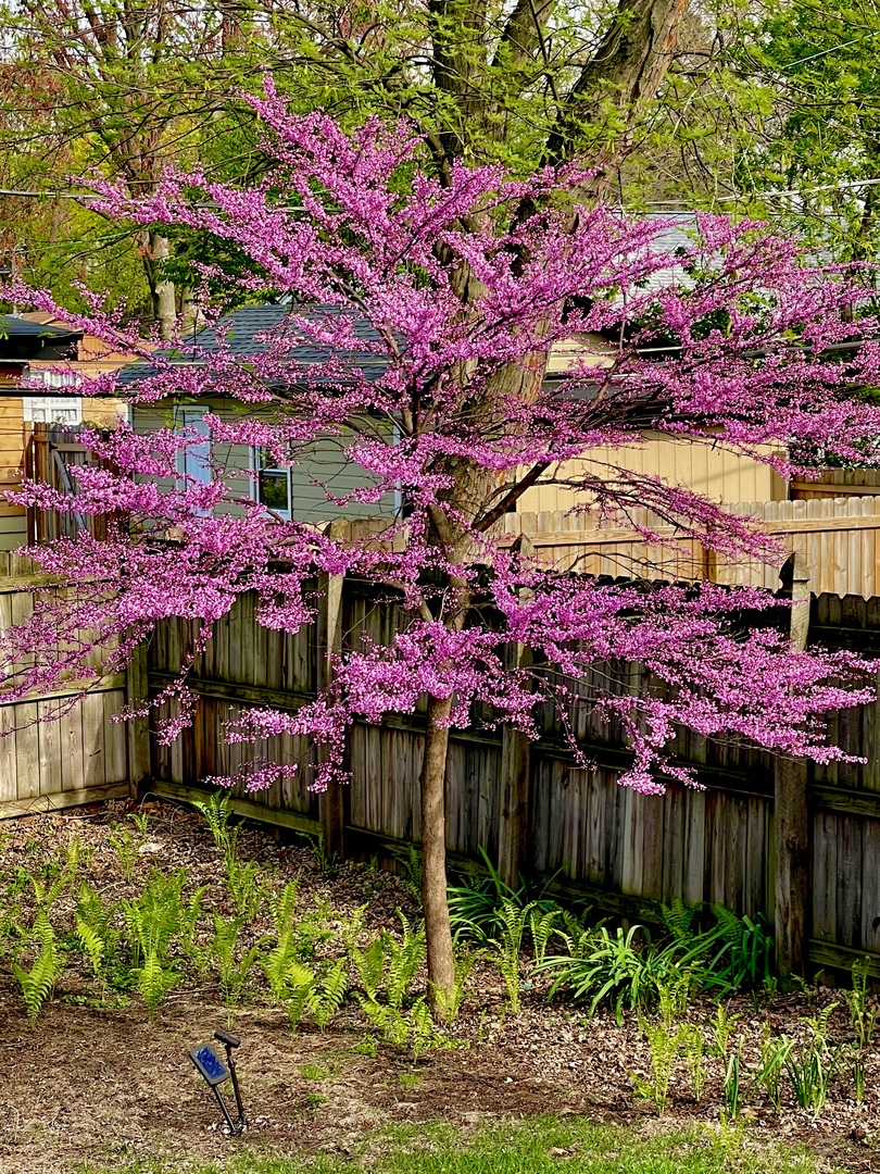 22 S Westlawn Avenue, Aurora, IL 60506