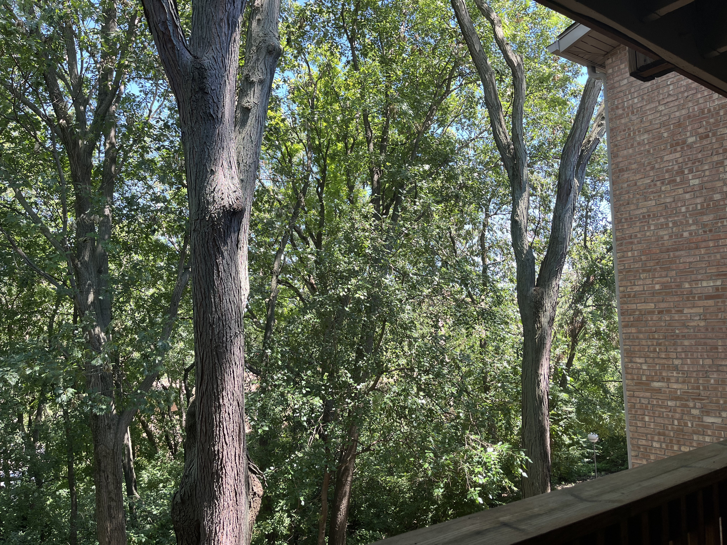 5817 Oakwood Drive #D, Lisle, IL 60532