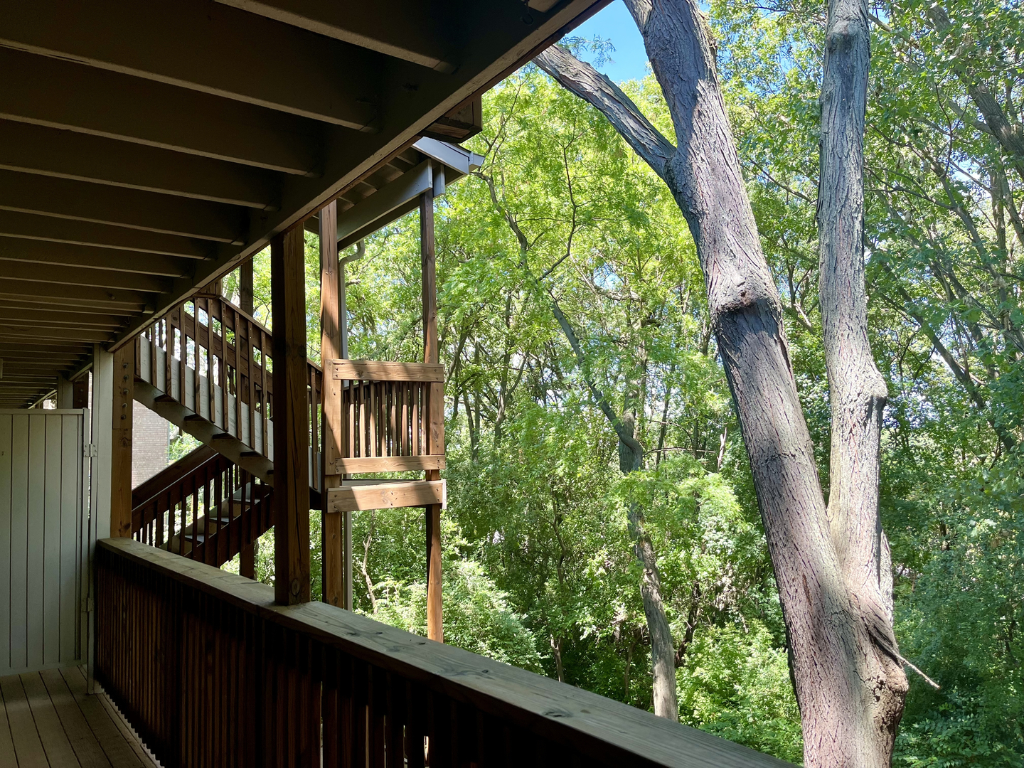 5817 Oakwood Drive #D, Lisle, IL 60532