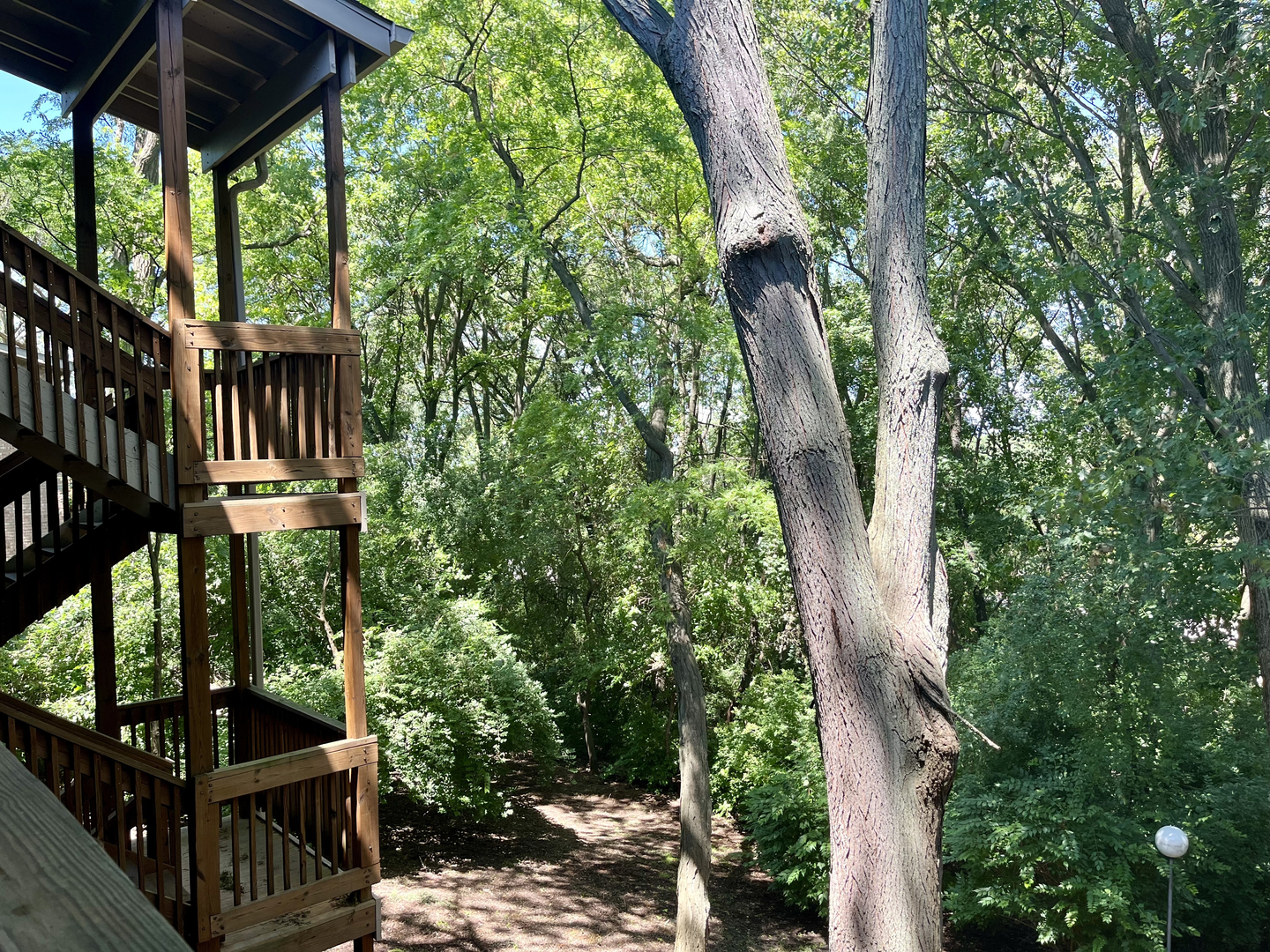 5817 Oakwood Drive #D, Lisle, IL 60532