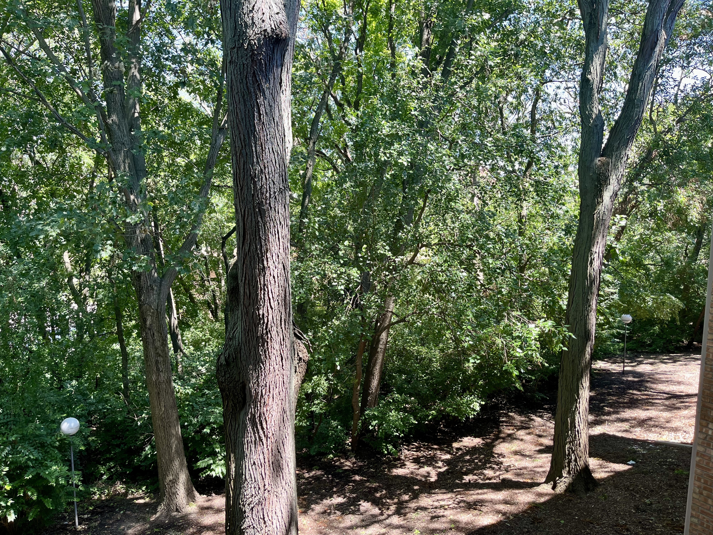 5817 Oakwood Drive #D, Lisle, IL 60532