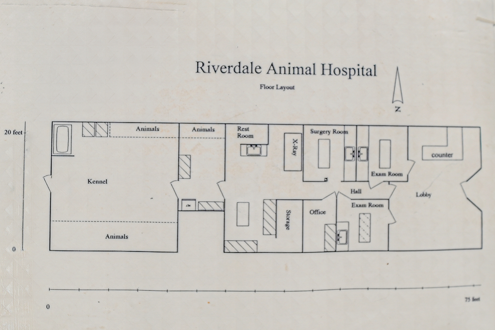 14206 S Indiana Avenue, Riverdale, IL 60827