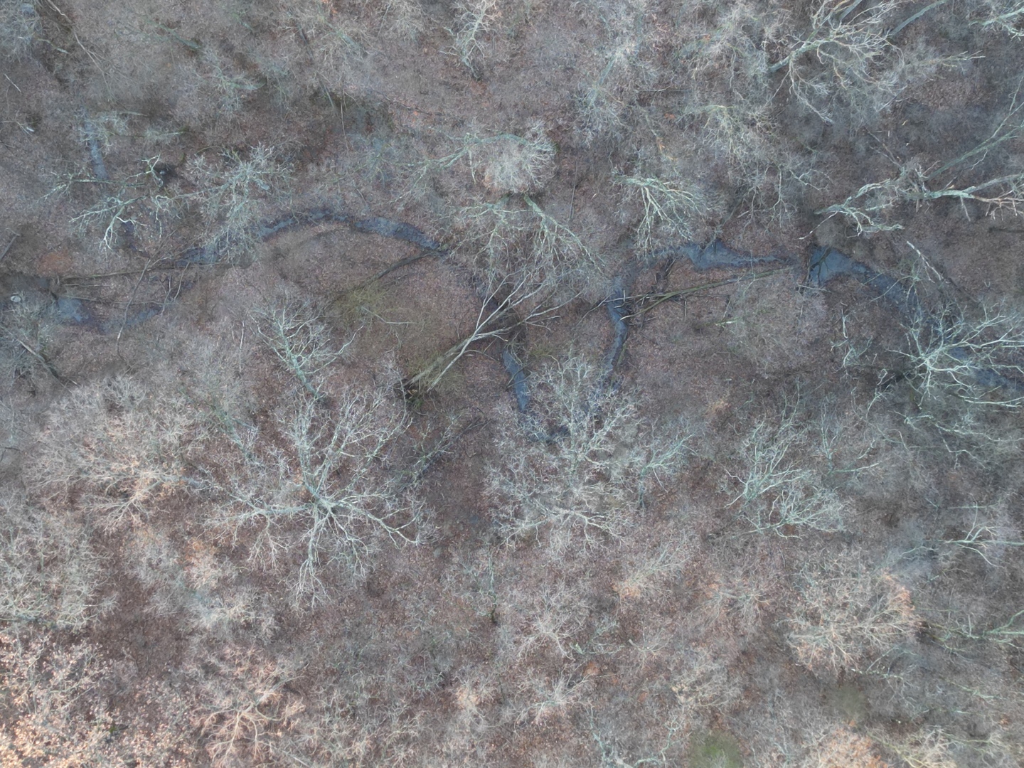 0 N. Pheasant Lane, Marrieta, IL 61459