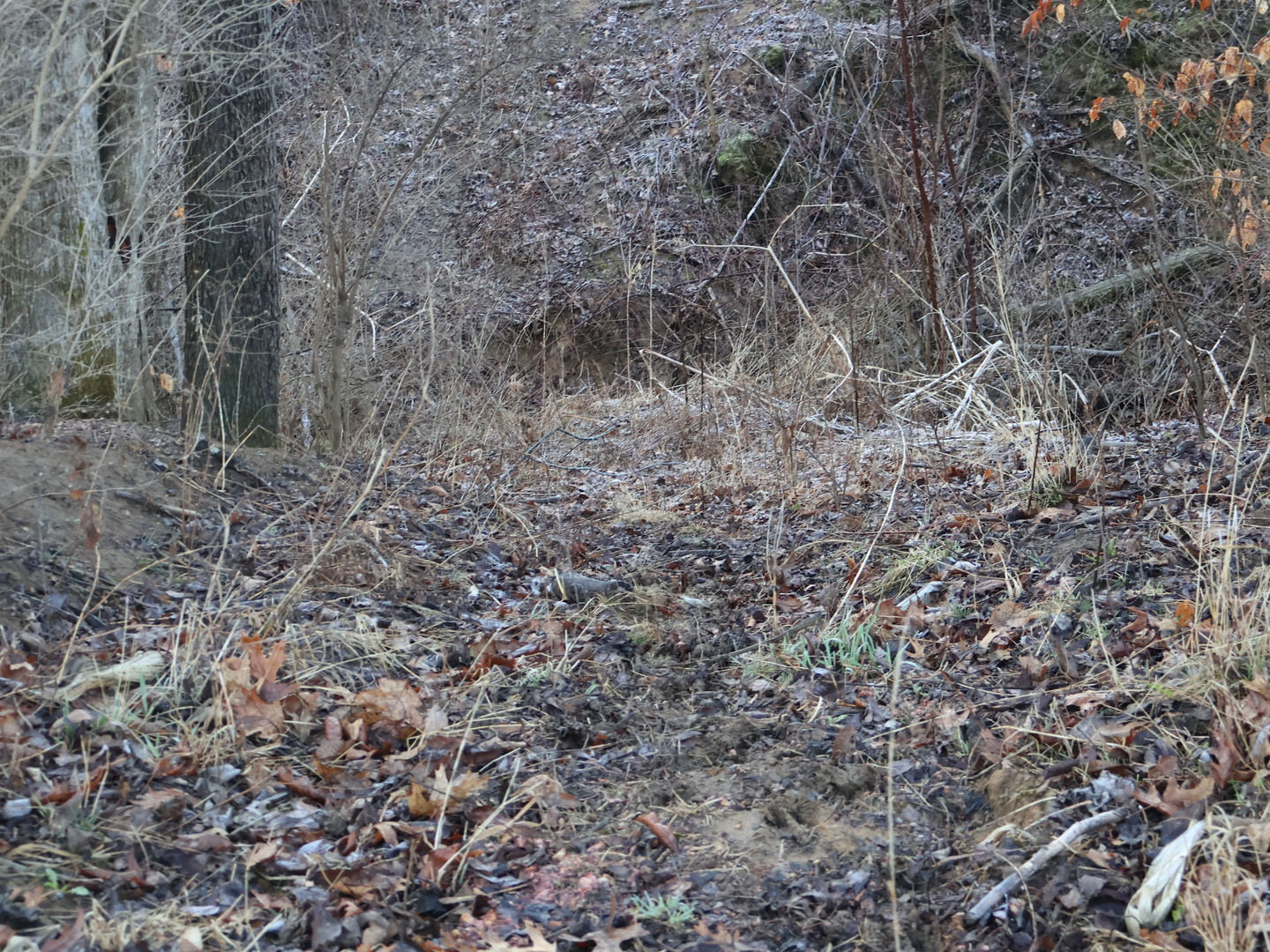 0 N. Pheasant Lane, Marrieta, IL 61459