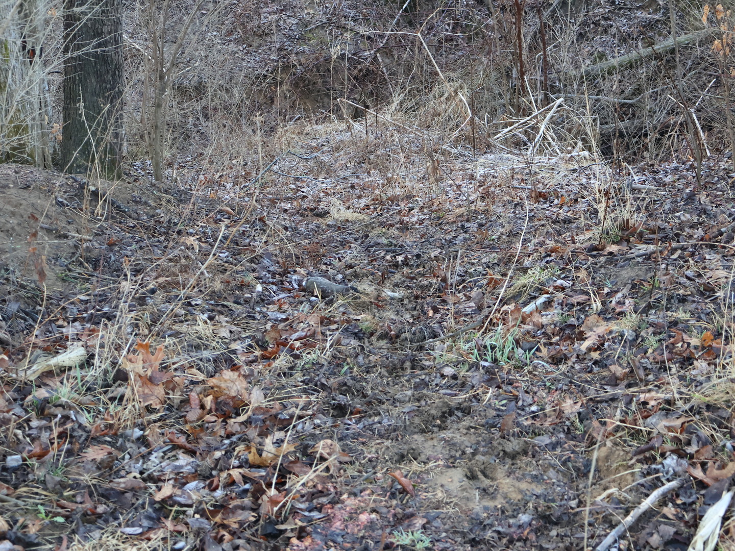 0 N. Pheasant Lane, Marrieta, IL 61459