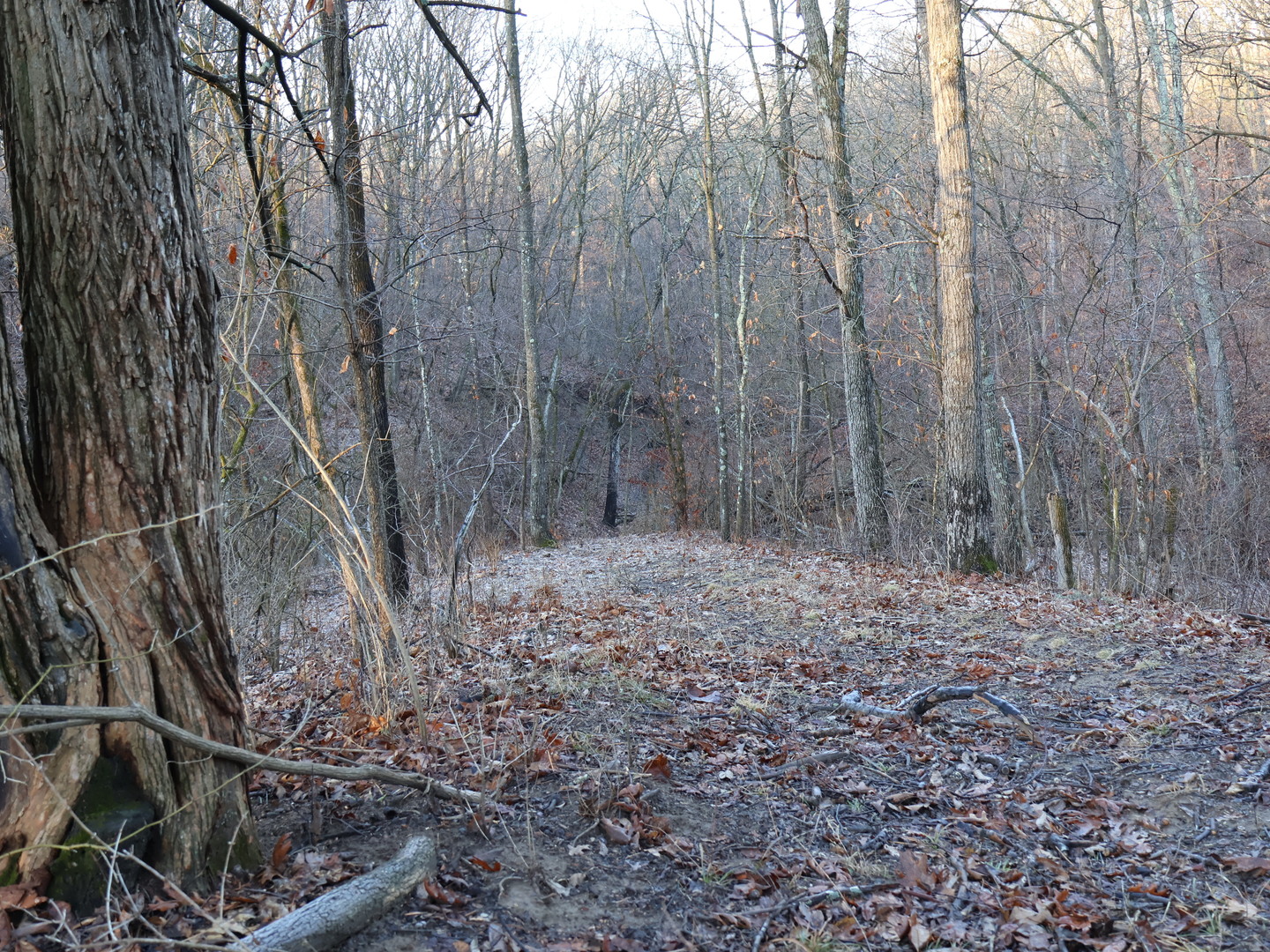 0 N. Pheasant Lane, Marrieta, IL 61459