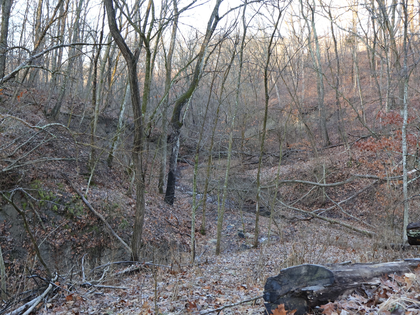 0 N. Pheasant Lane, Marrieta, IL 61459