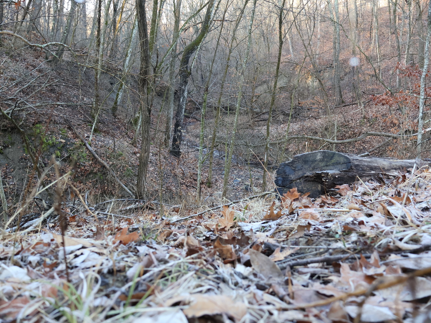 0 N. Pheasant Lane, Marrieta, IL 61459