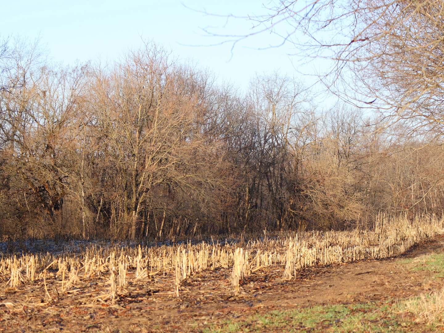 0 N. Pheasant Lane, Marrieta, IL 61459