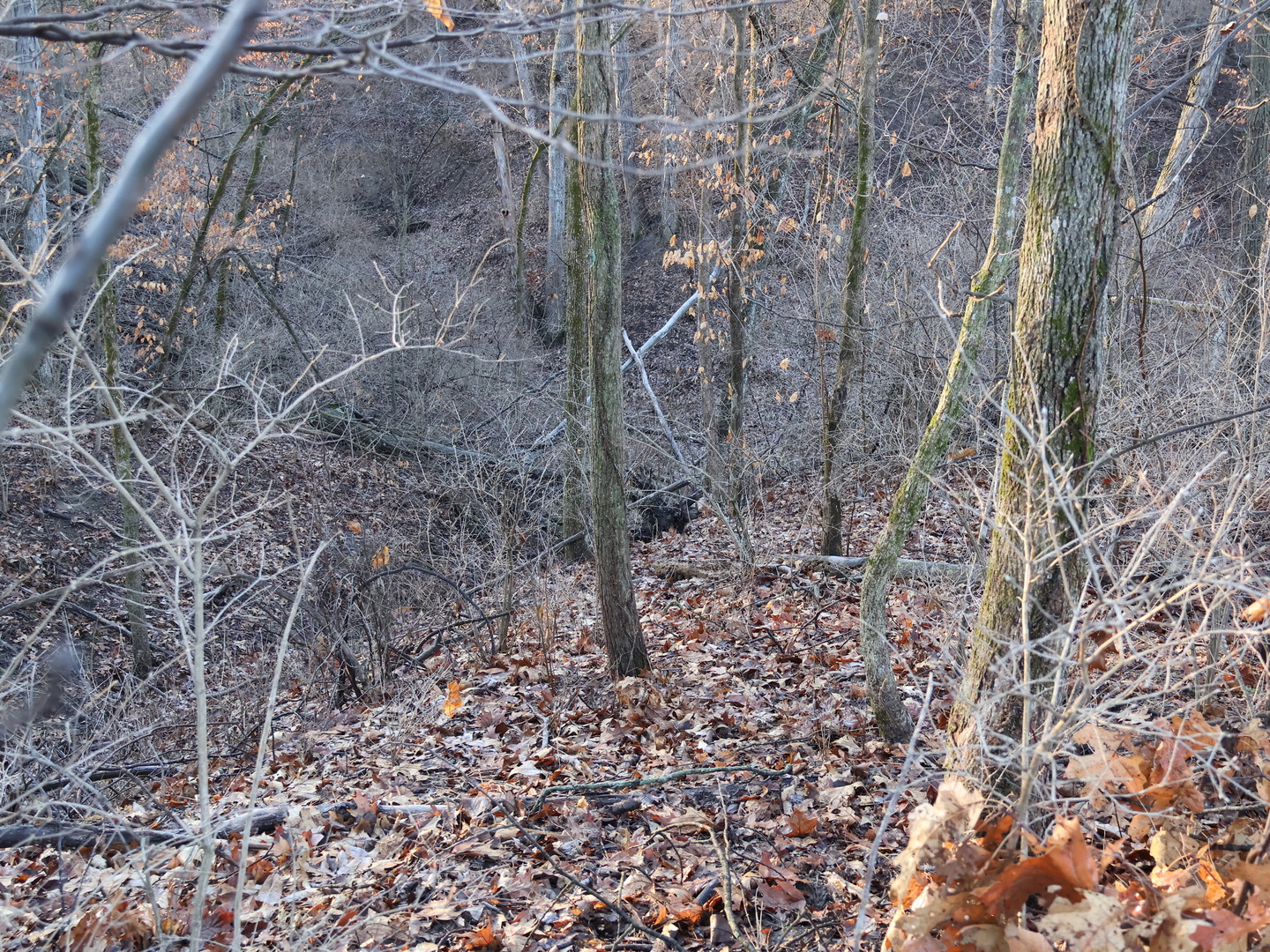 0 N. Pheasant Lane, Marrieta, IL 61459