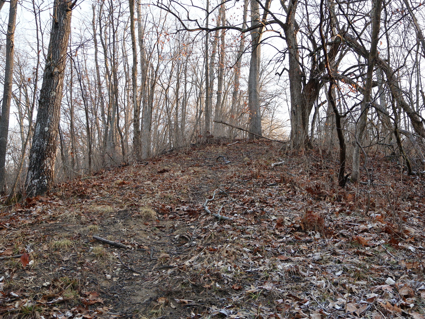 0 N. Pheasant Lane, Marrieta, IL 61459