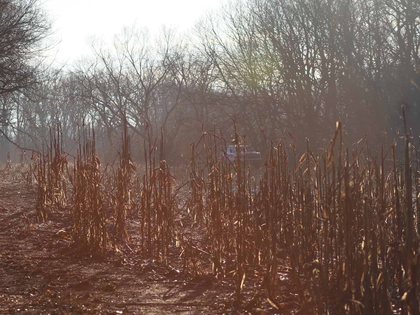 0 N. Pheasant Lane, Marrieta, IL 61459