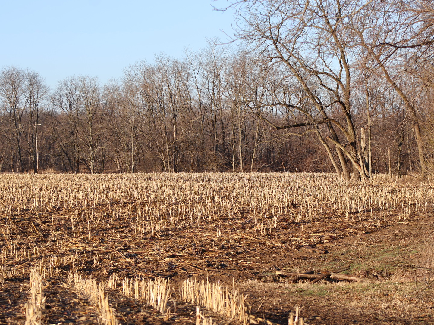 0 N. Pheasant Lane, Marrieta, IL 61459