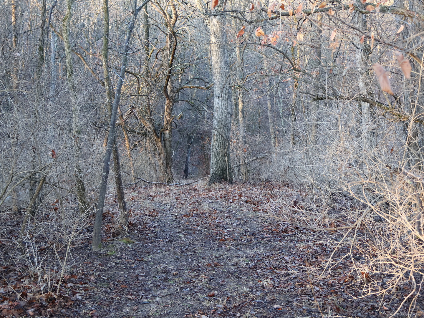 0 N. Pheasant Lane, Marrieta, IL 61459