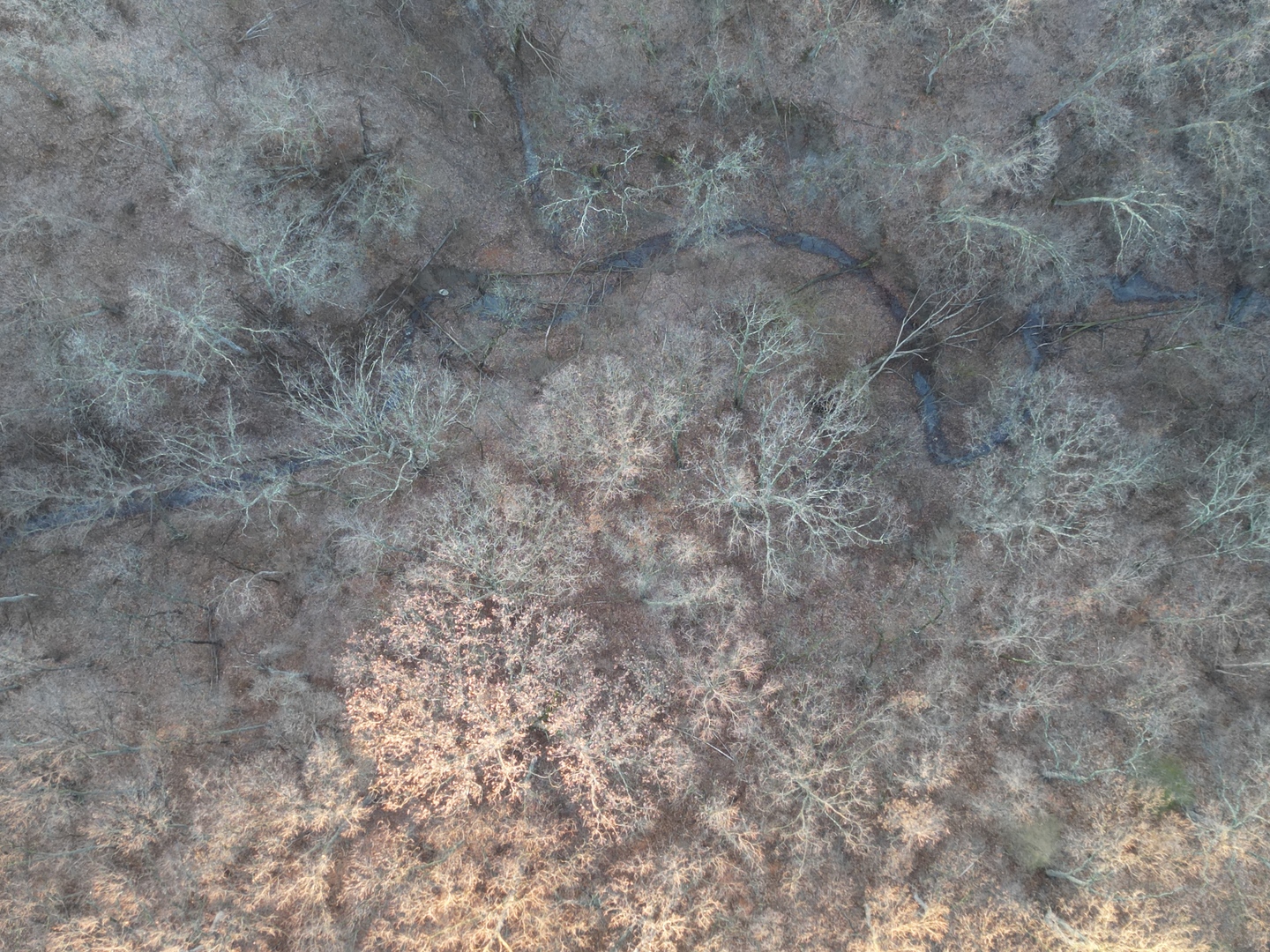 0 N. Pheasant Lane, Marrieta, IL 61459