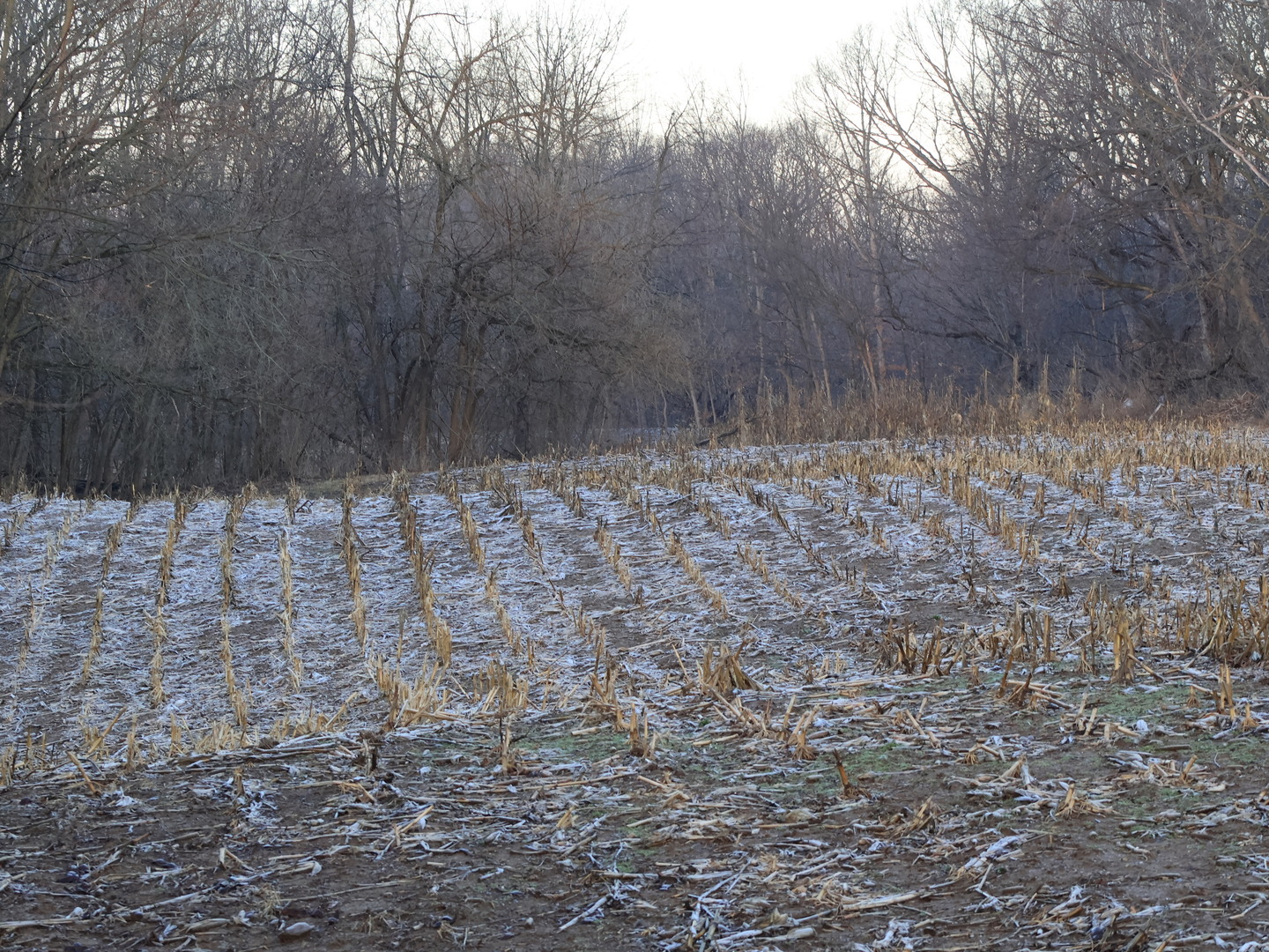 0 N. Pheasant Lane, Marrieta, IL 61459