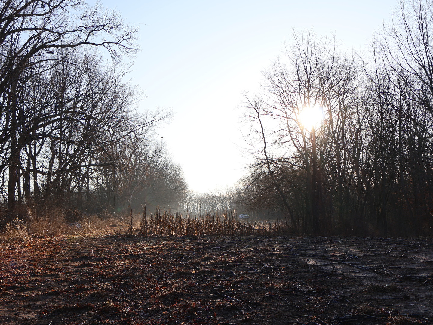 0 N. Pheasant Lane, Marrieta, IL 61459