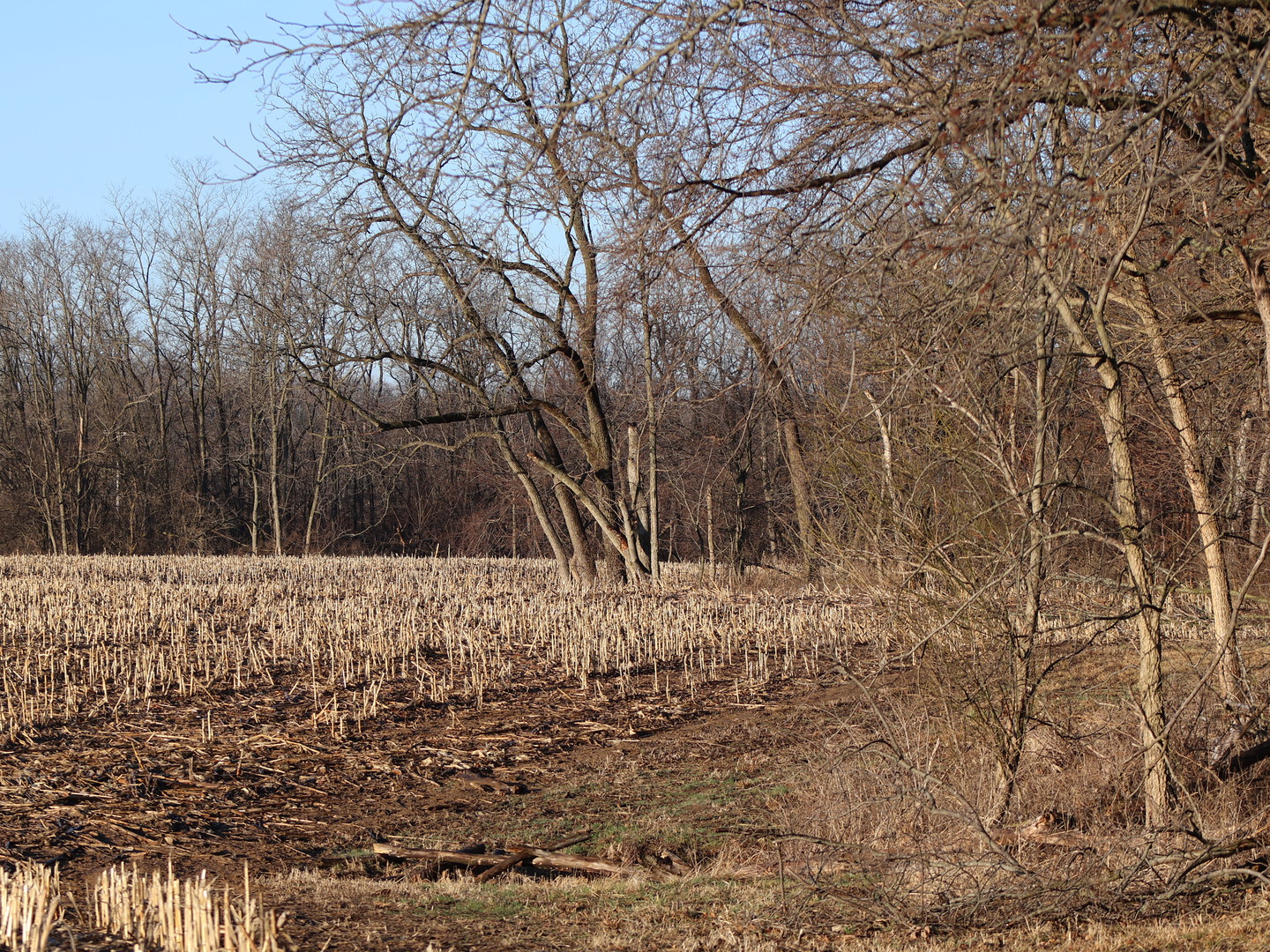 0 N. Pheasant Lane, Marrieta, IL 61459