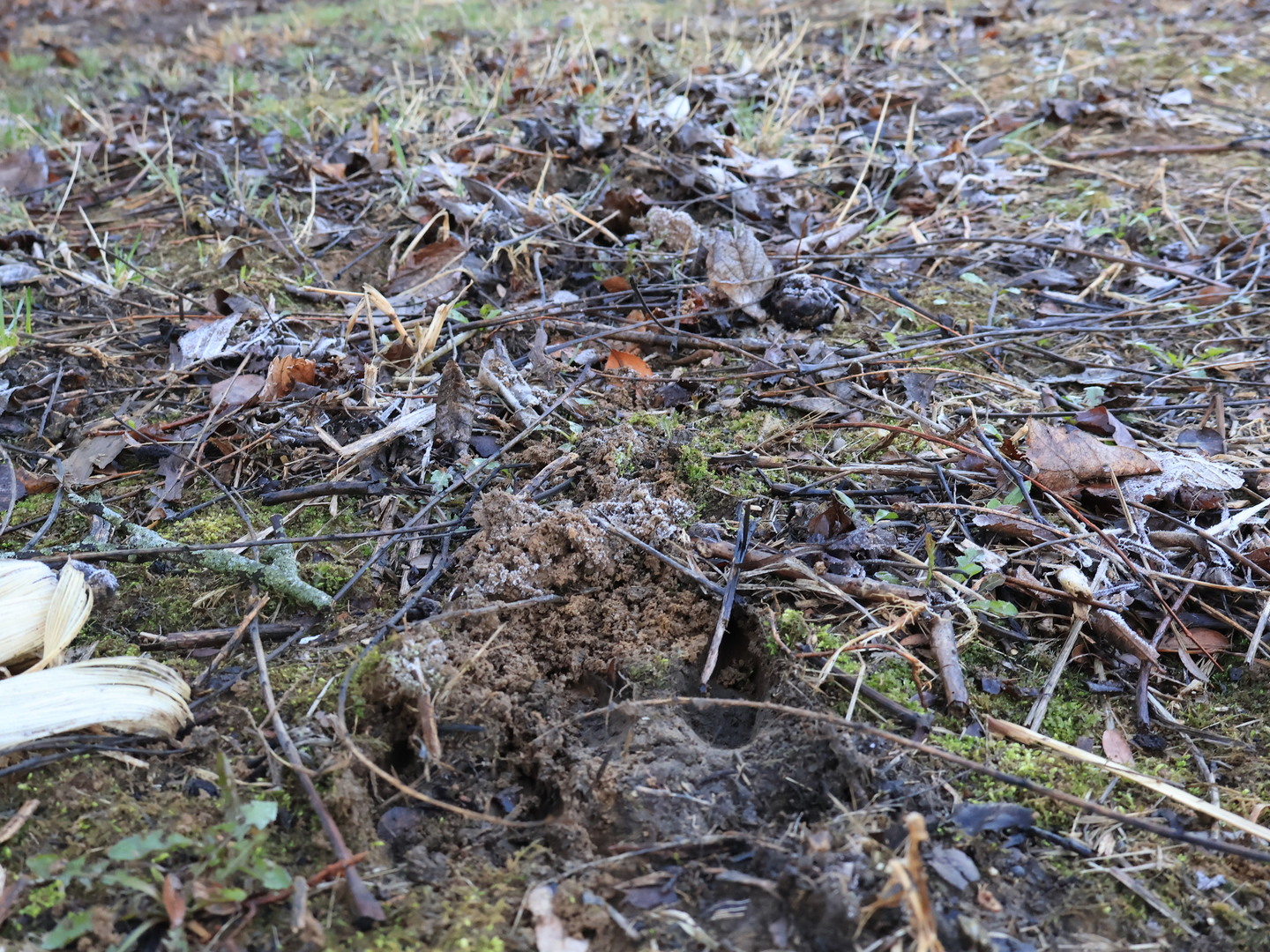 0 N. Pheasant Lane, Marrieta, IL 61459