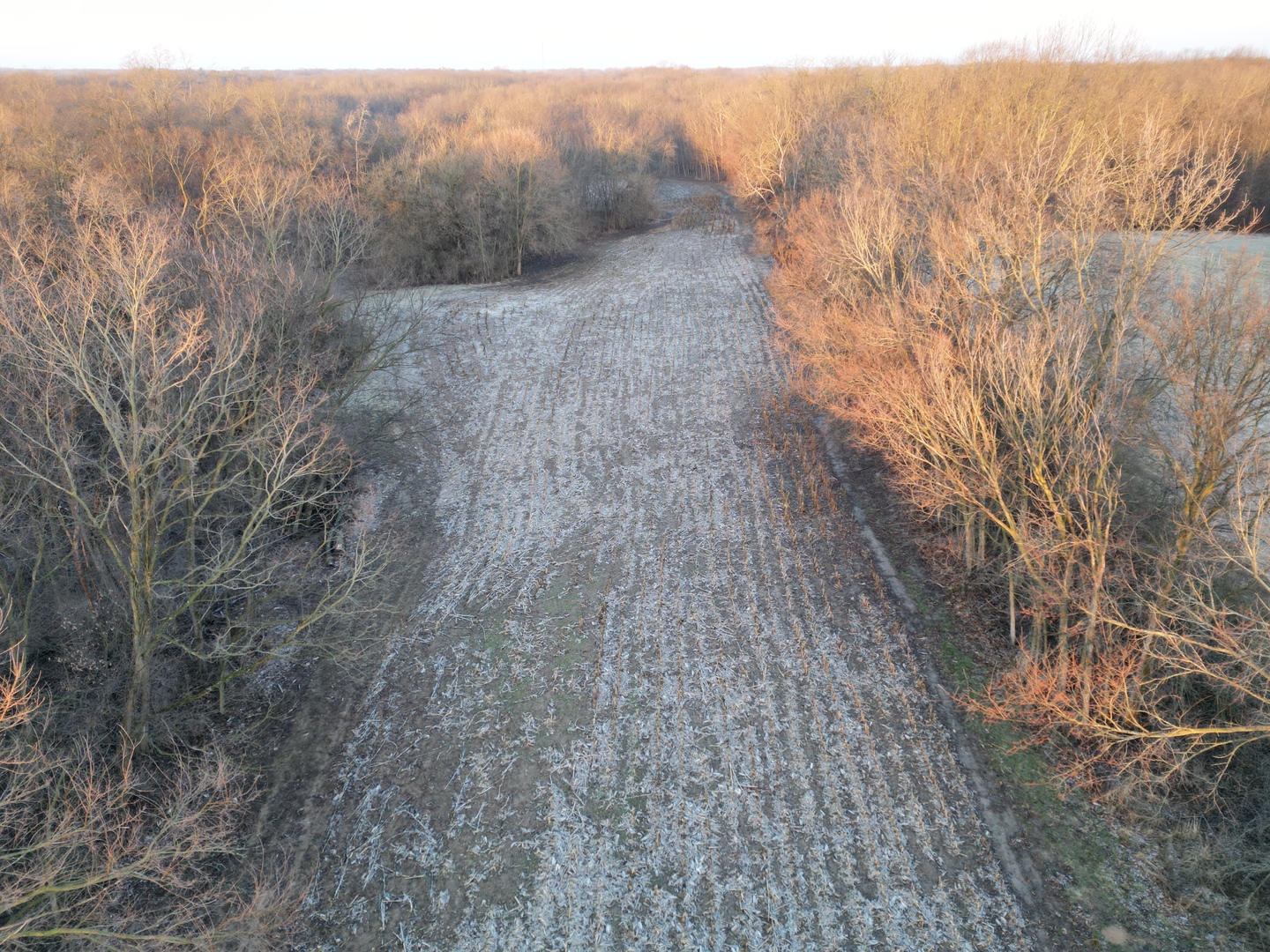 0 N. Pheasant Lane, Marrieta, IL 61459