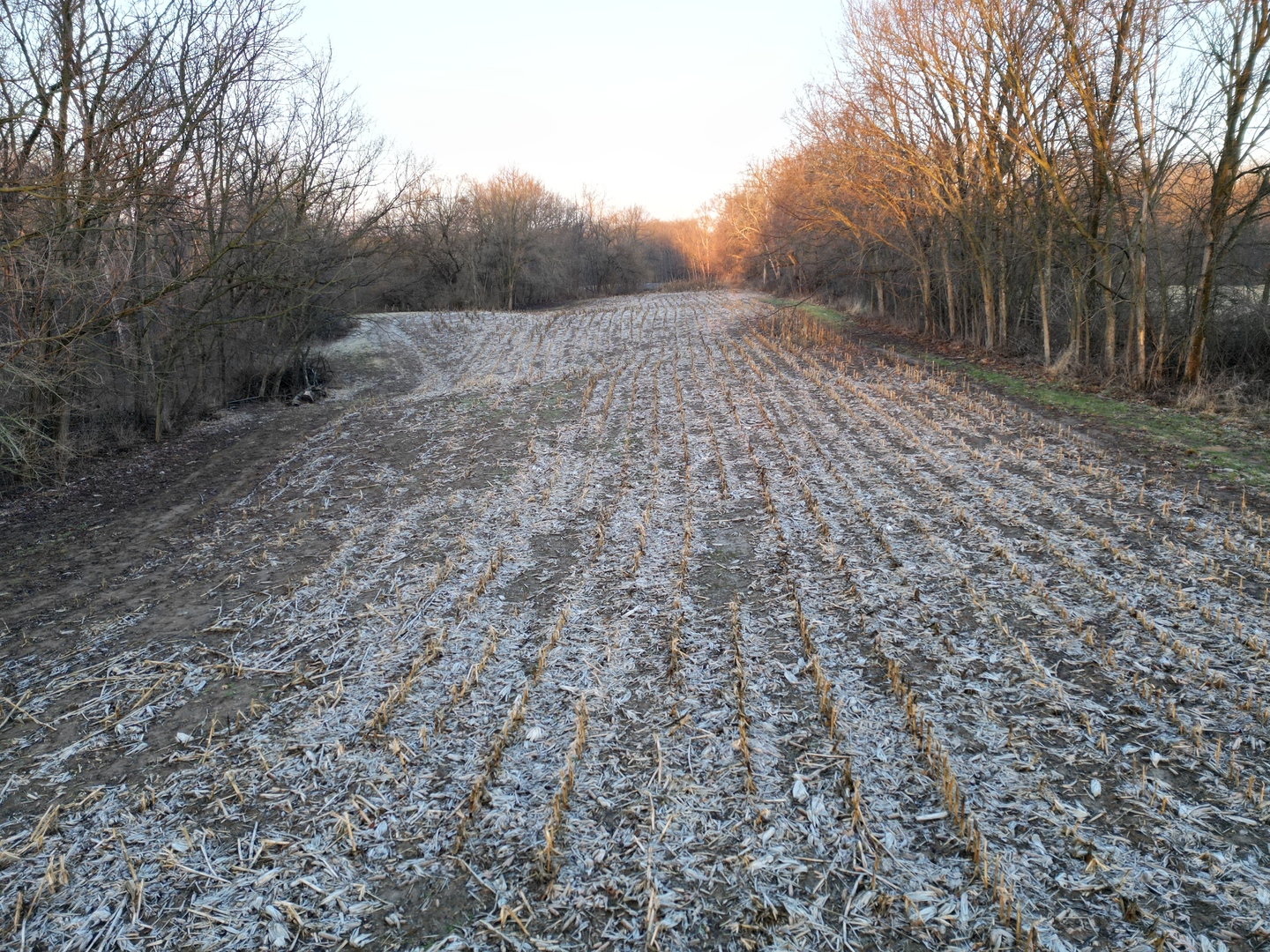 0 N. Pheasant Lane, Marrieta, IL 61459