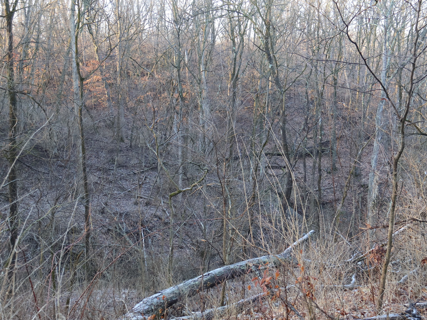 0 N. Pheasant Lane, Marrieta, IL 61459