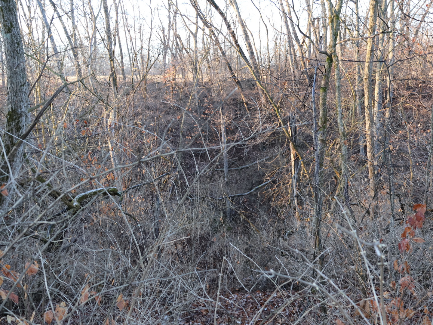 0 N. Pheasant Lane, Marrieta, IL 61459