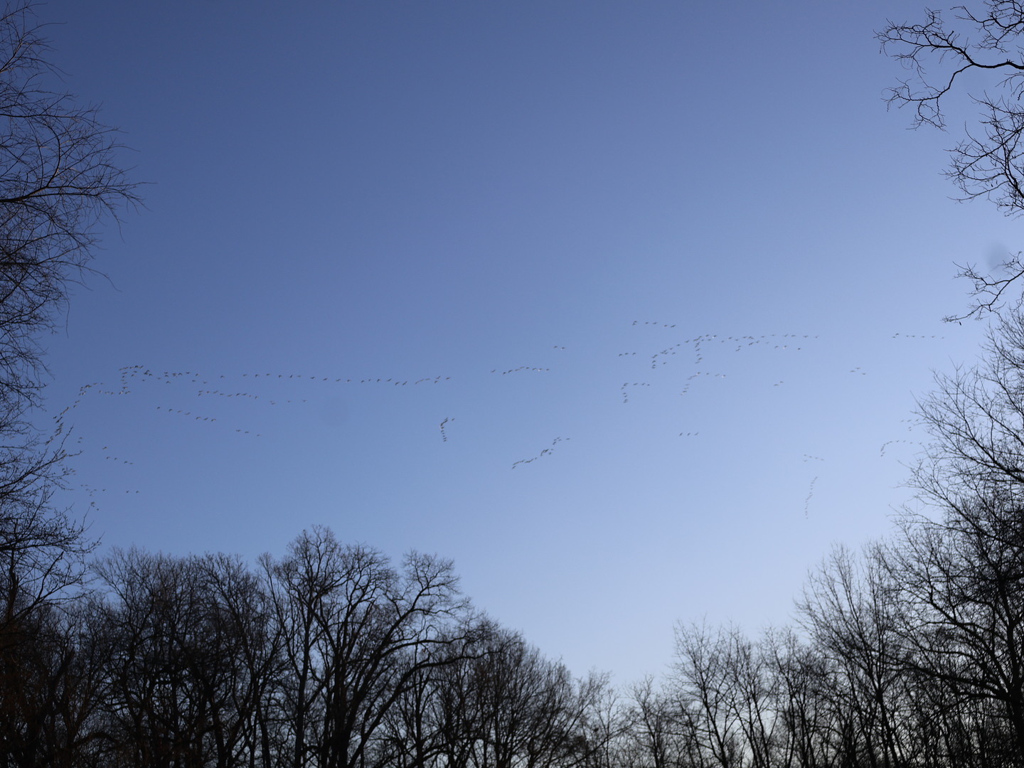 0 N. Pheasant Lane, Marrieta, IL 61459