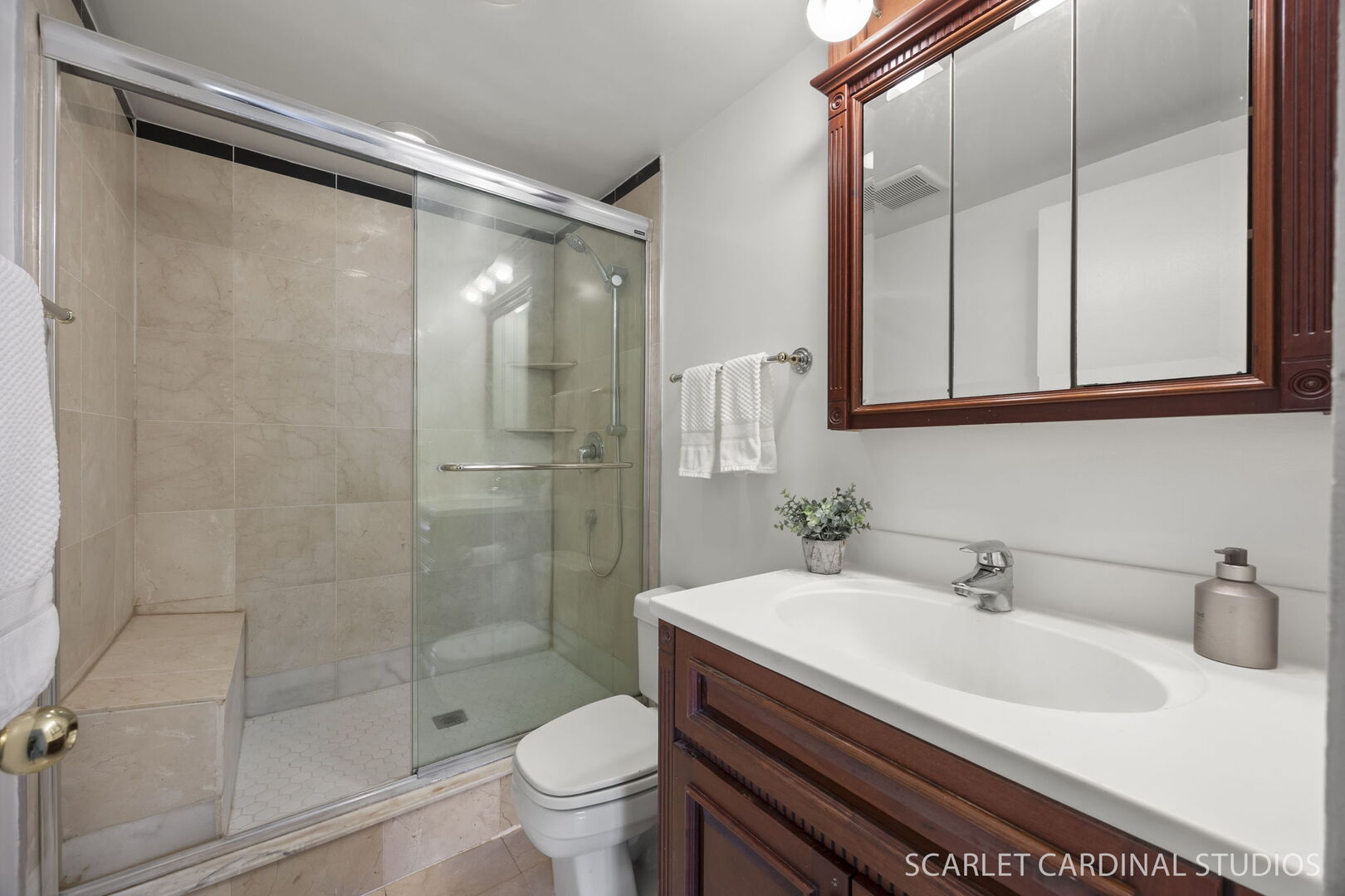 1 Renaissance Place #201, Palatine, IL 60067