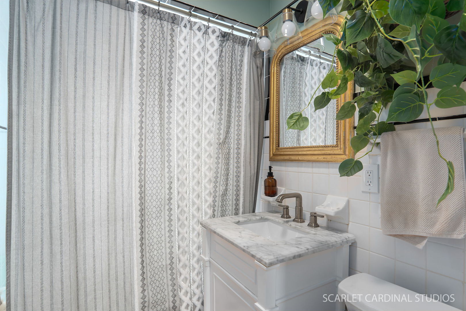 705 Spring Beach Way, Cary, IL 60013