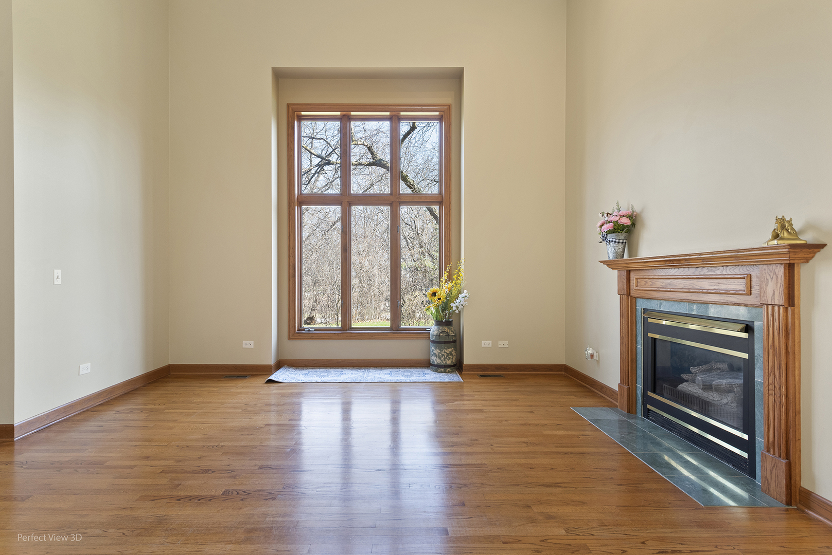 16693 W CHERRYWOOD Lane, Wadsworth, IL 60083