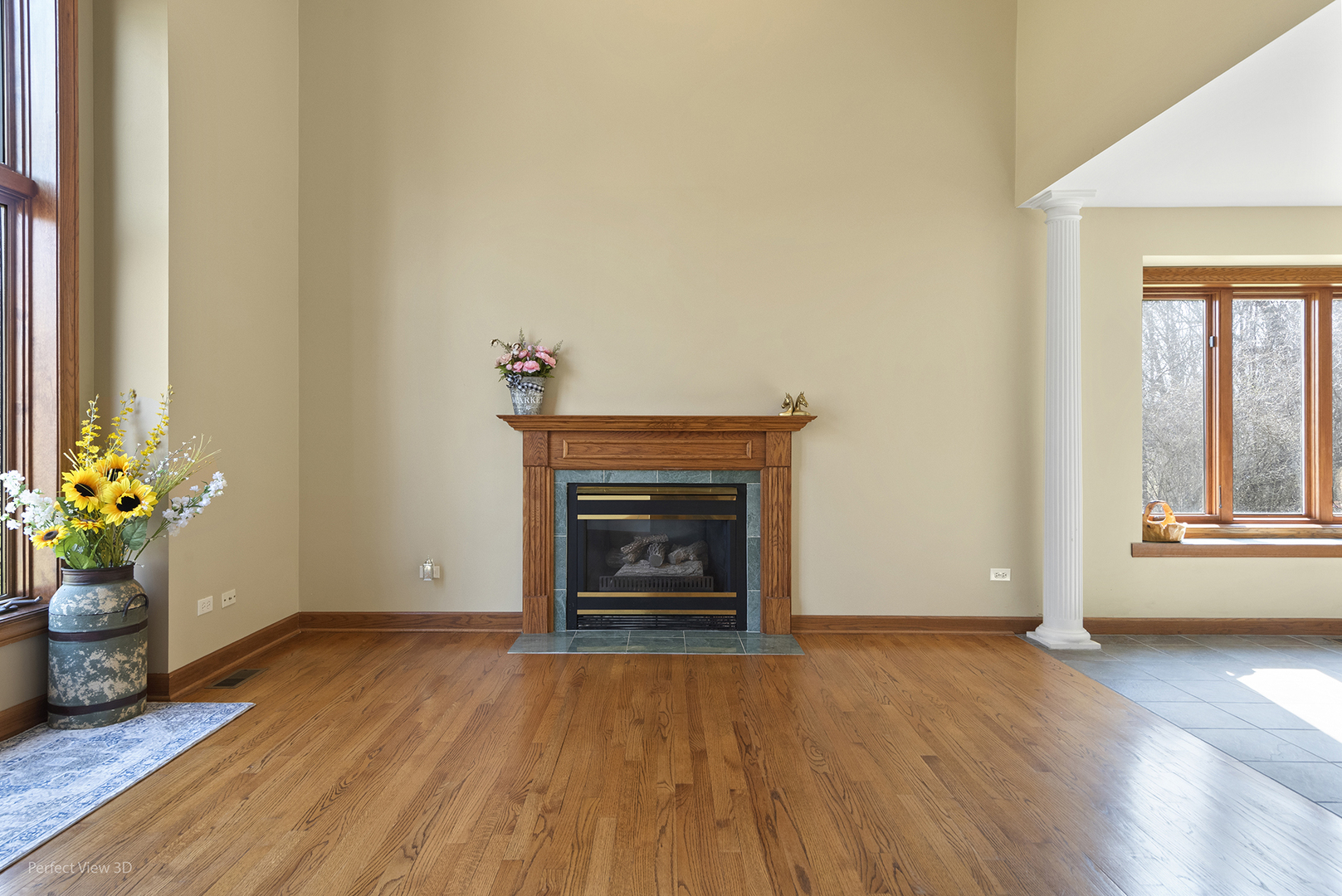 16693 W CHERRYWOOD Lane, Wadsworth, IL 60083