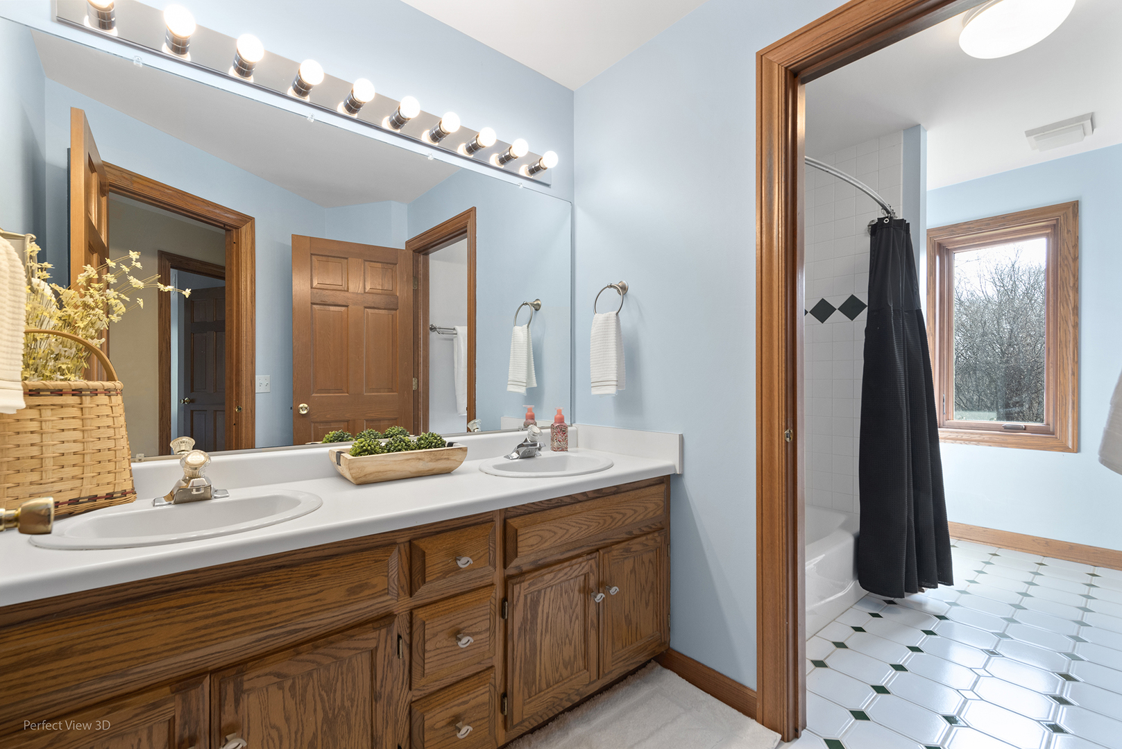 16693 W CHERRYWOOD Lane, Wadsworth, IL 60083