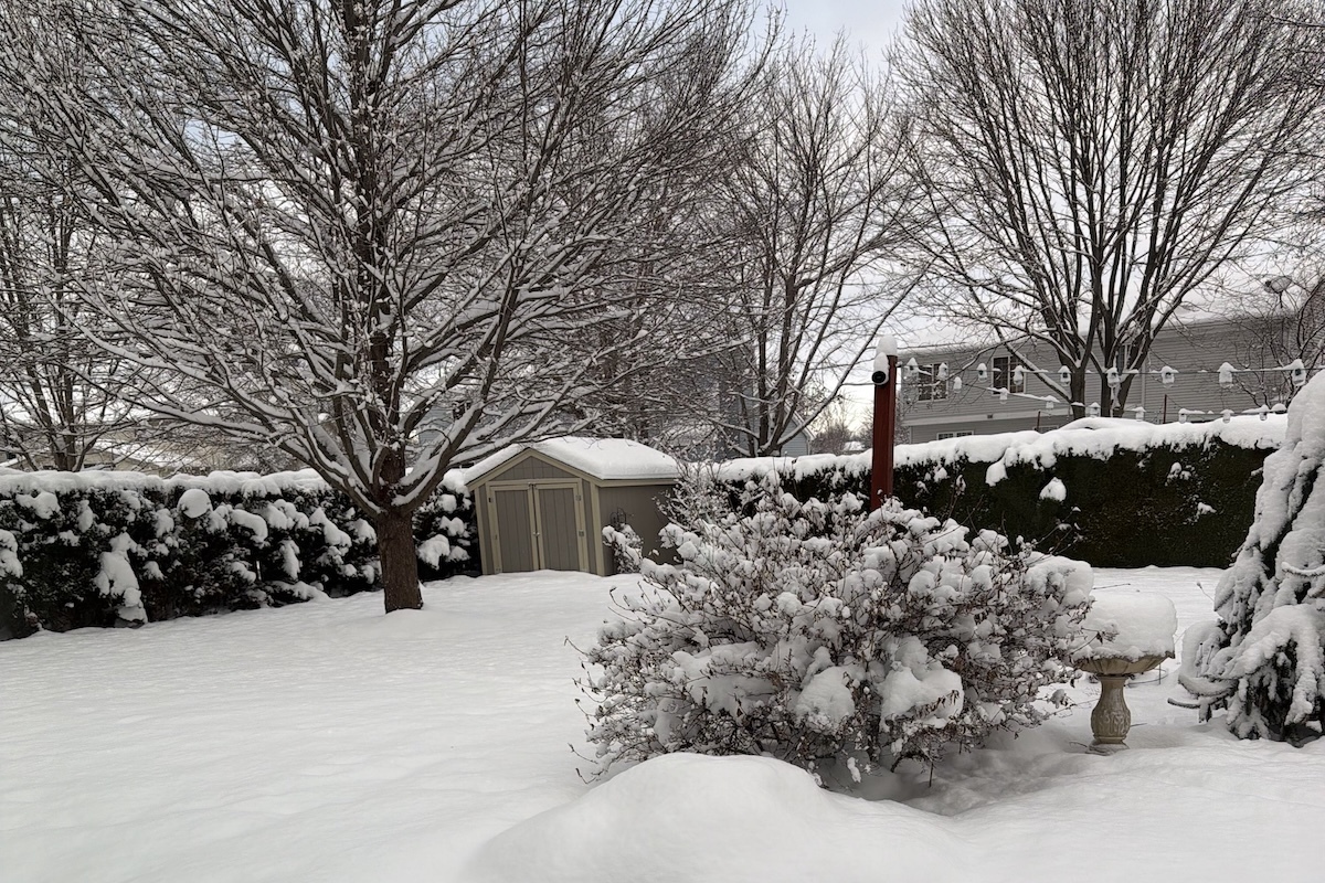 130 Whitehall Court, Grayslake, IL 60030