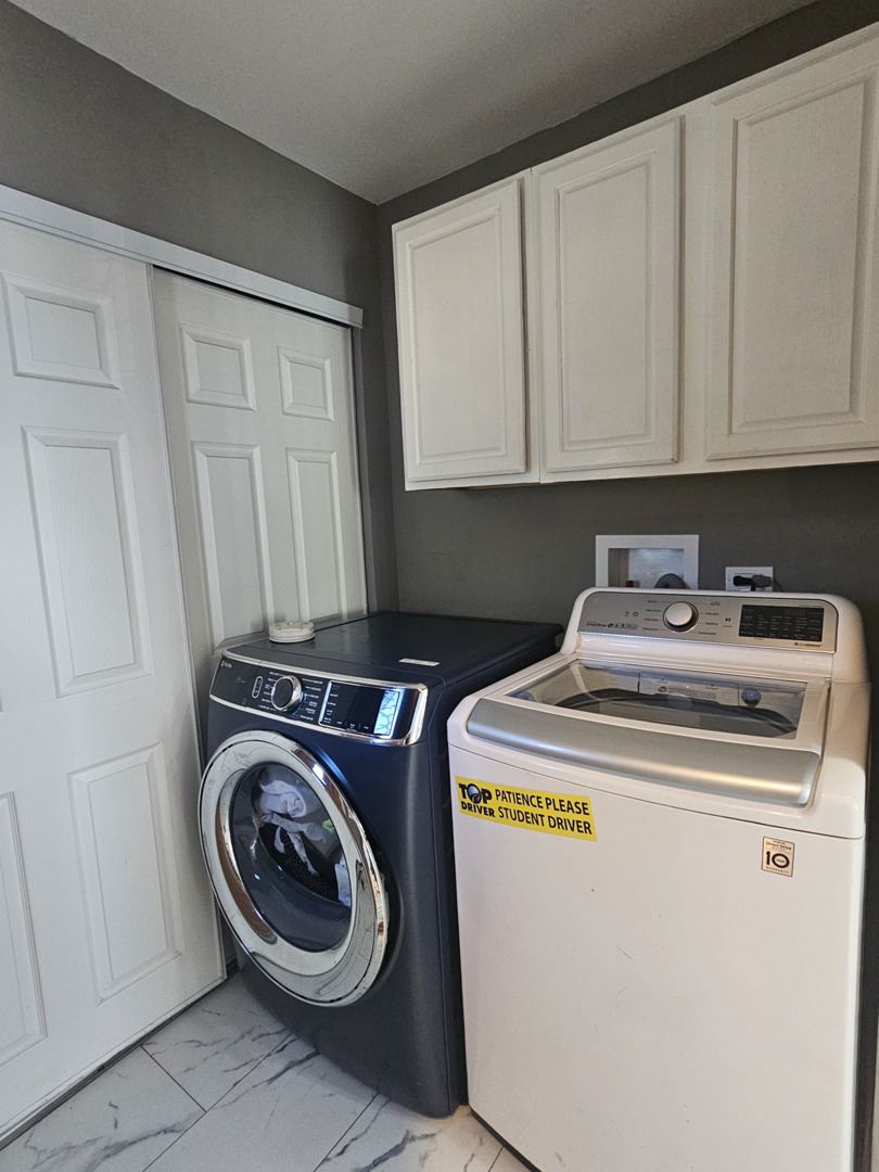 1353 Spring Valley Divide, Carol Stream, IL 60188