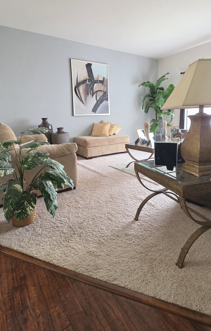 145 Enclave Circle #D, Bolingbrook, IL 60440